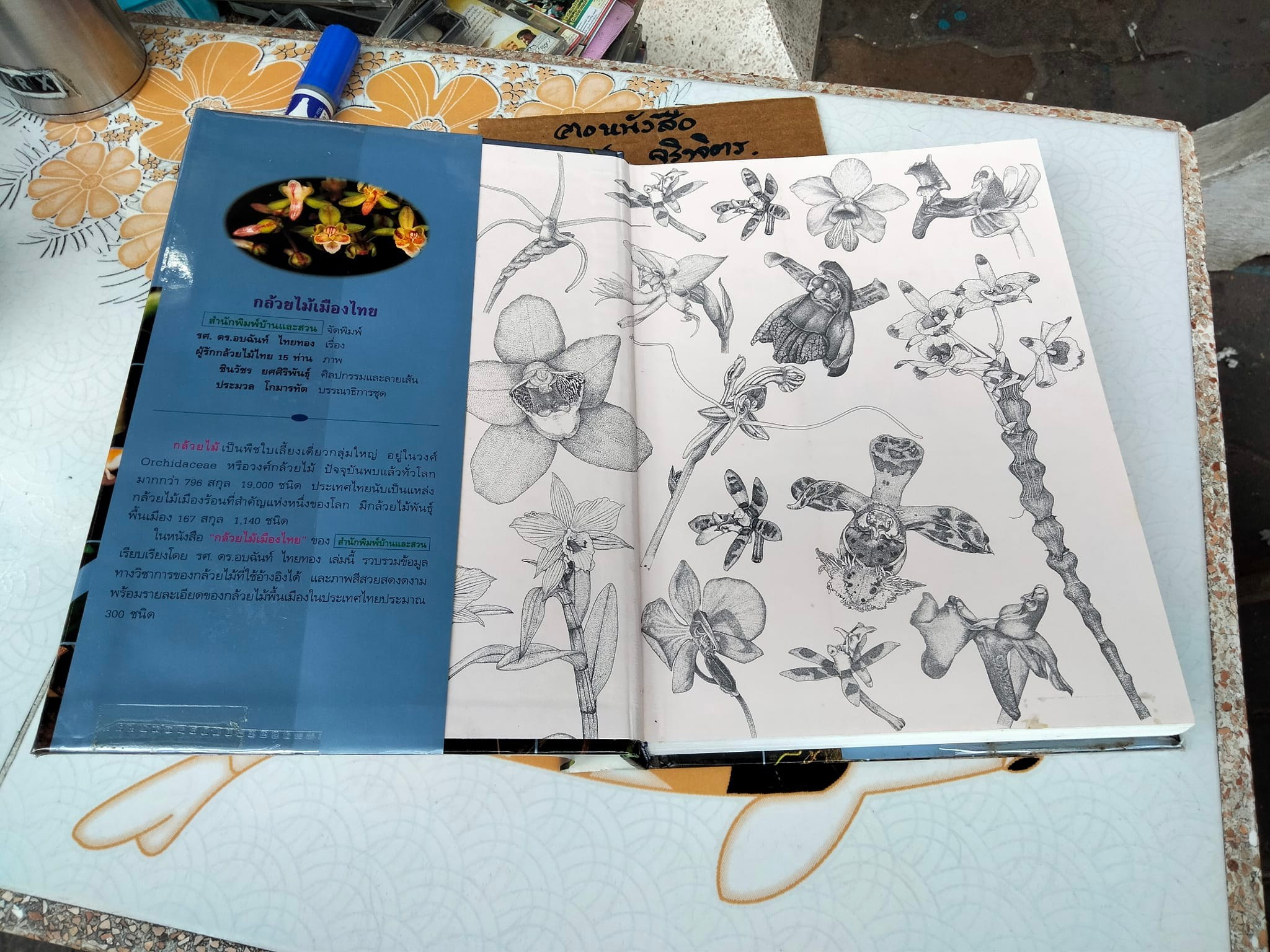 กล้วยไม้เมืองไทย - รศ. ดร.อบฉันท์ ไทยทอง **สินค้าหมด**