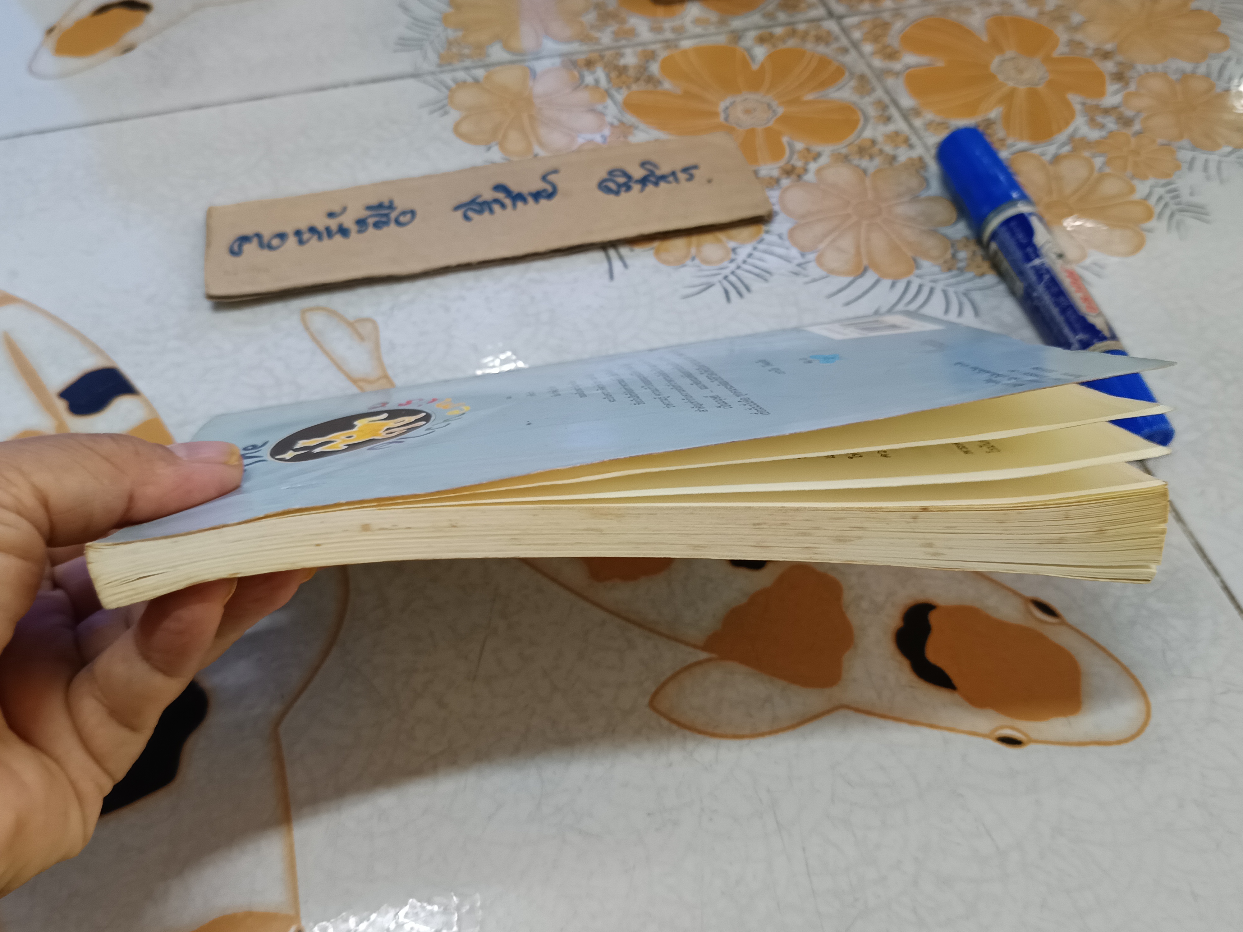 ขุมทรัพย์ที่ปลายฝัน โดย เปาโล โคเอโย ชัยวัฒน์ สถาอานันท์ แปลจาก The Alchemist พิมพ์ครั้งแรก 2542 (สภาพพอใช้)