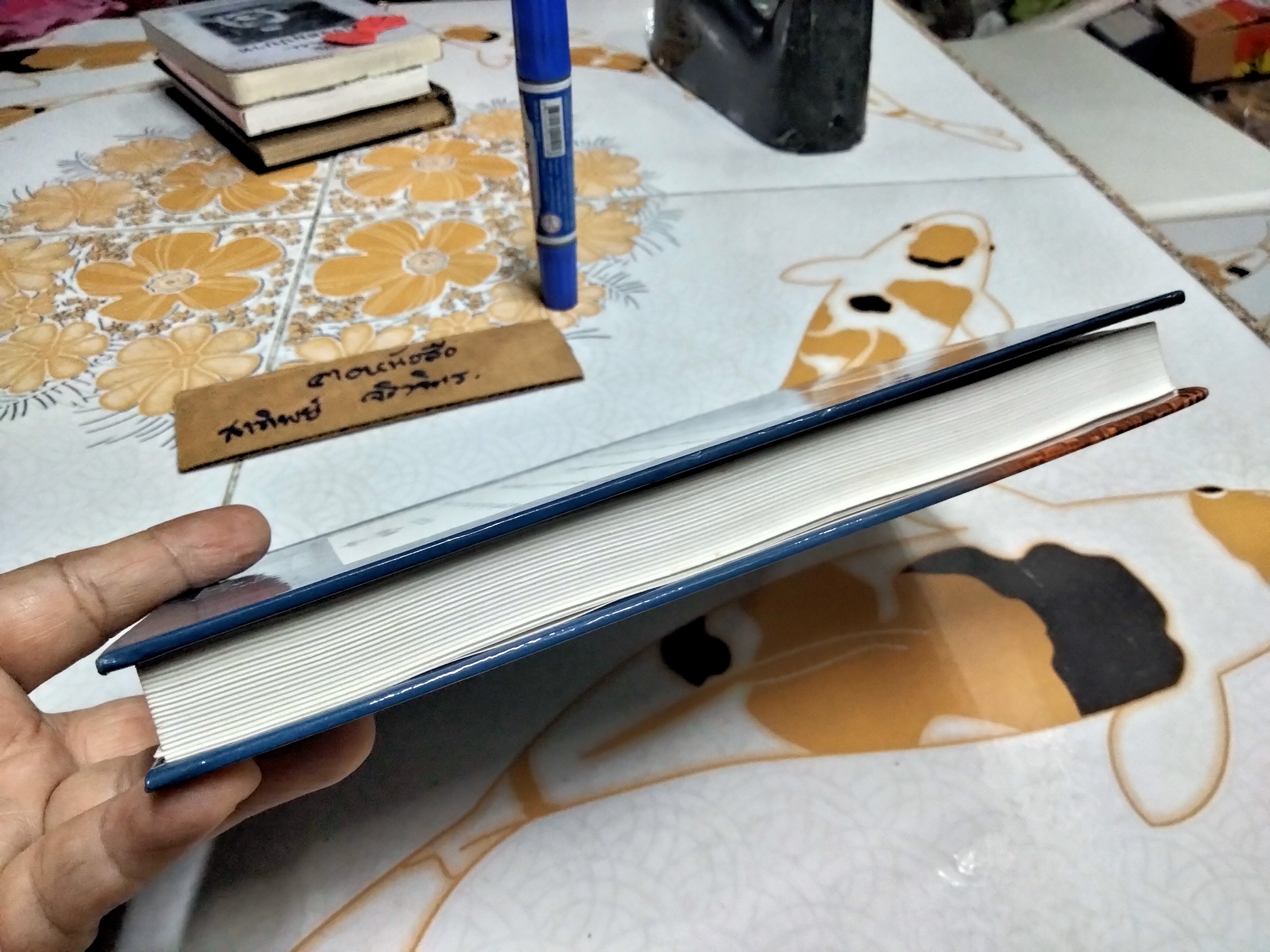 กฎหมายฟื้นฟูเศรษฐกิจกับอนาคตของประเทศ โดย สถาบันนโยบายสังคมและเศรษฐกิจ พิมพ์ครั้งแรก พ.ศ 2542