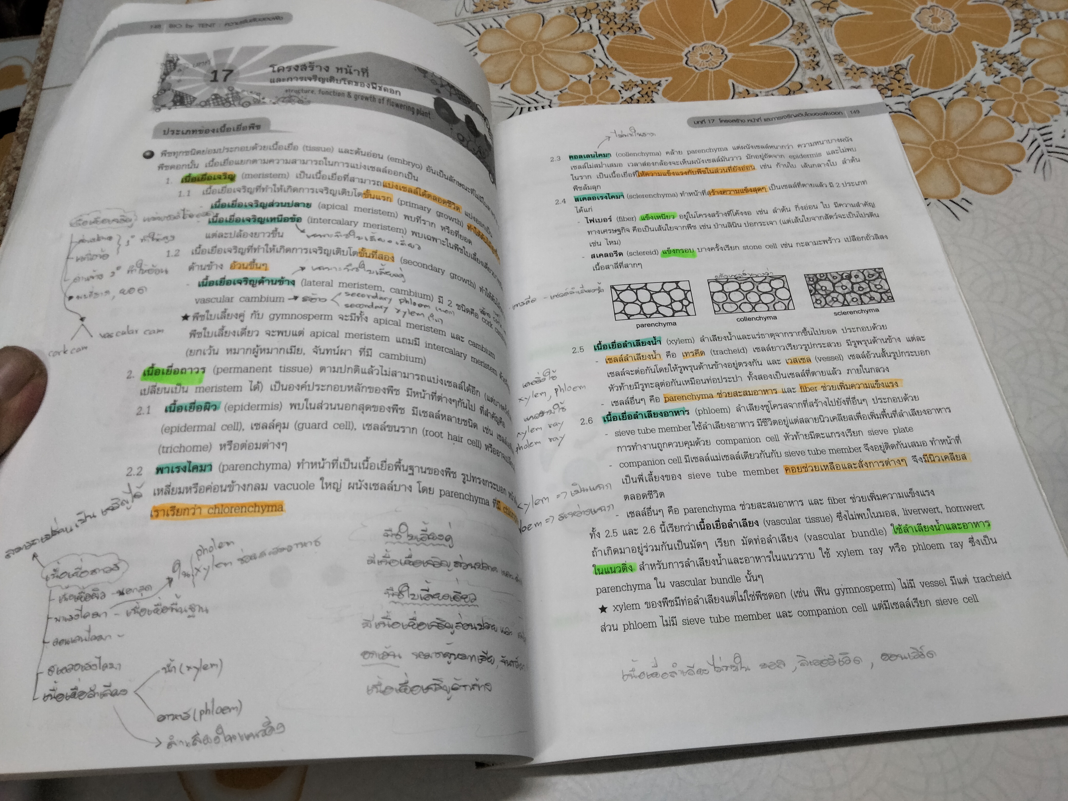 หนังสือชีววิทยา (ปกเต่าทอง) เล่มสีเลือดหมู โดย จิรัสย์ เจนพาณิชย์ **สินค้าหมด**