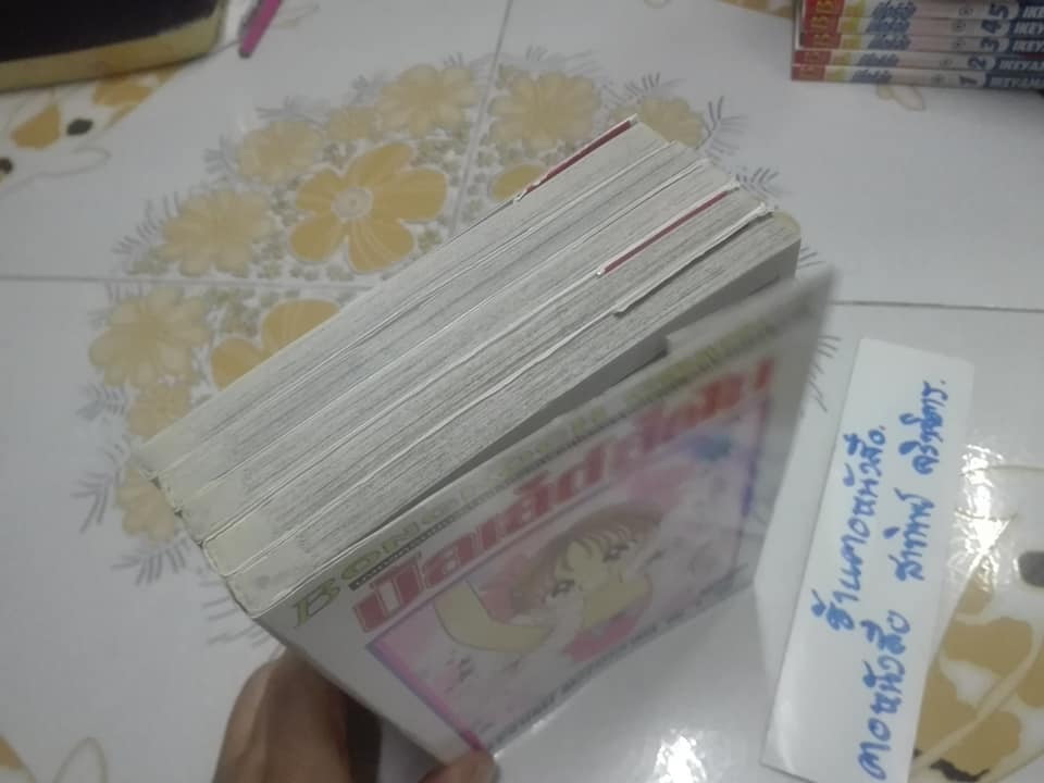 บัลเล่ต์สู่ฝัน ( 5 เล่มจบ ) - MEGUMI MIZUSAWA **สินค้าหมด**