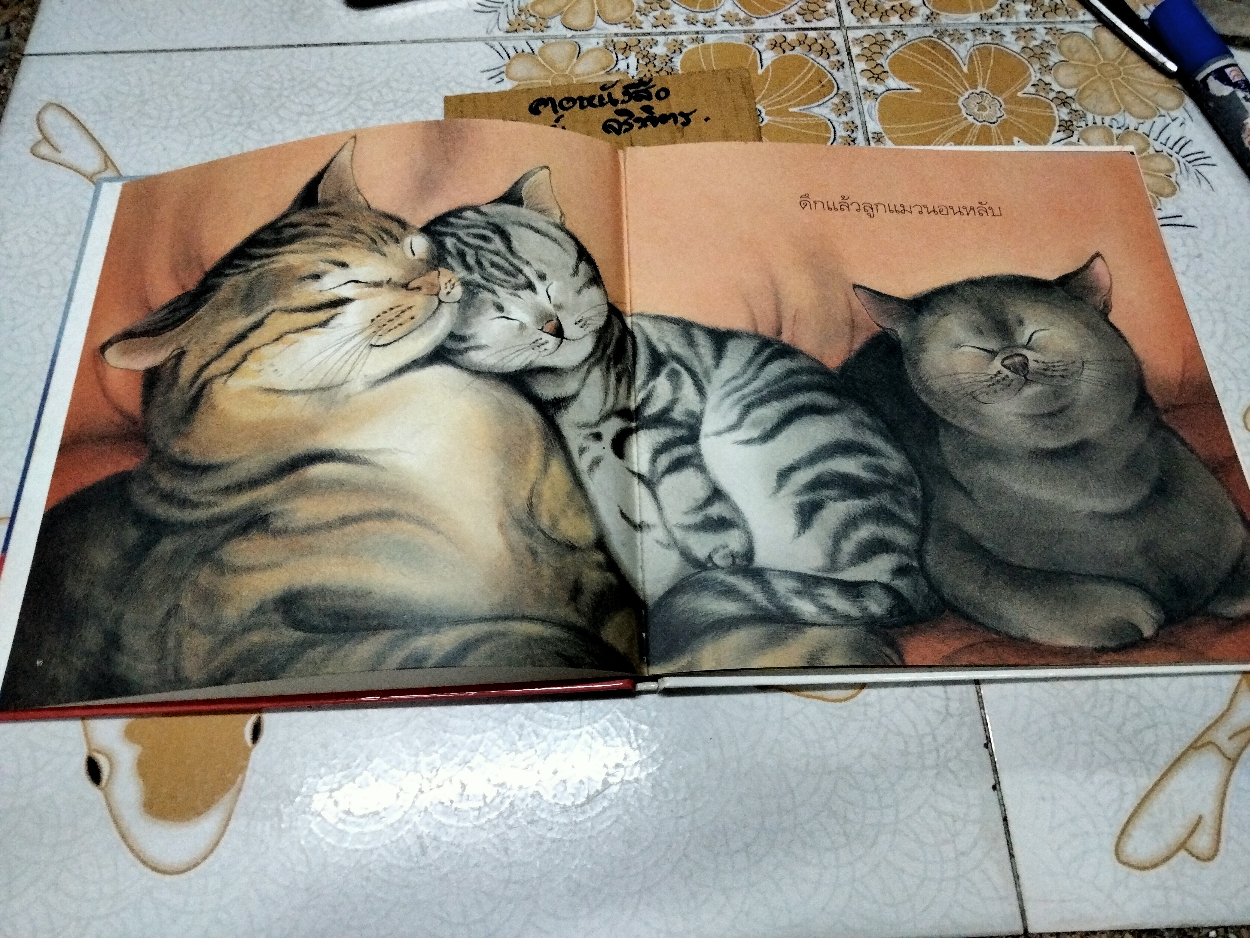 ขอหนูหลับหน่อย รินนา คลานุวัฒน์ เรื่องและภาพ พิมพ์ครั้งแรก พ.ศ 2544 สำนักพิมพ์แพรวเพื่อนเด็ก