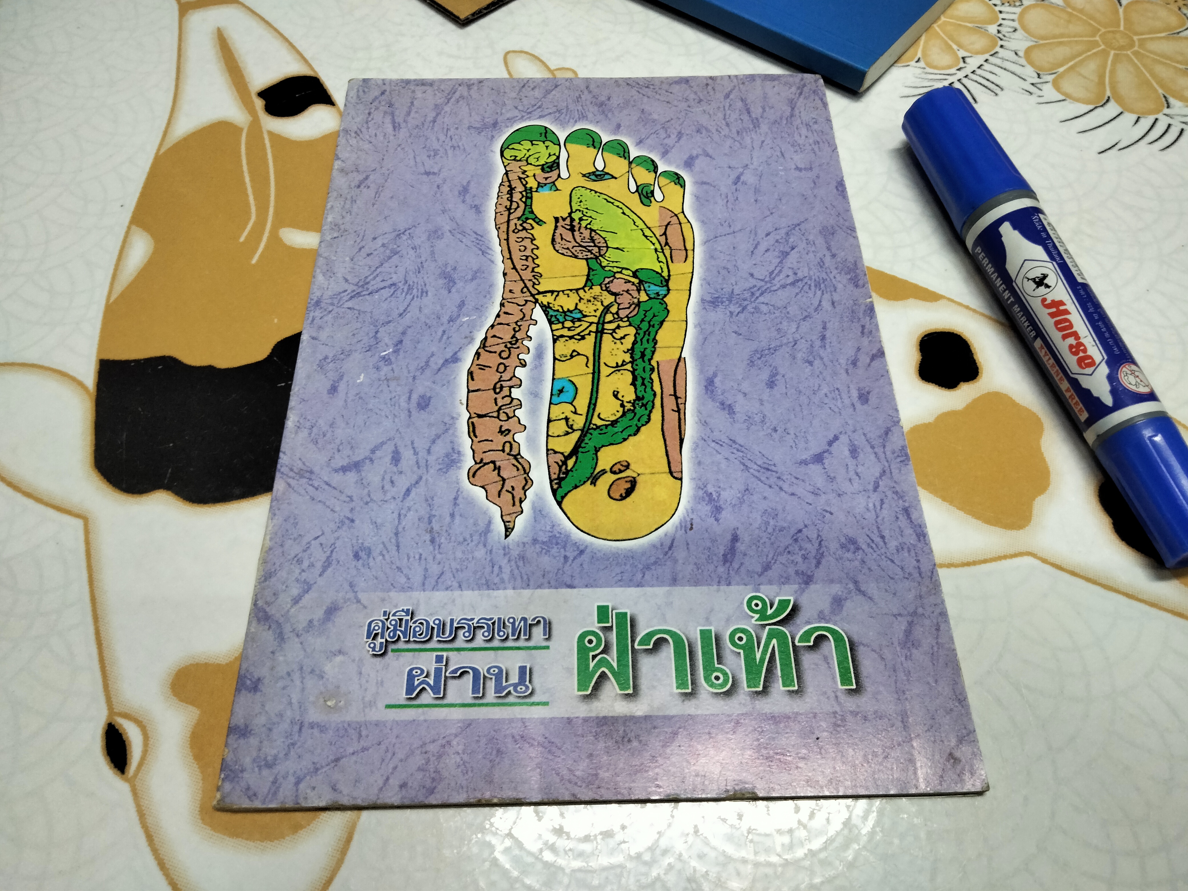 คู่มือหมอประจำครอบครัว ศาสตร์แห่งเท้า โดย สุเชาว์ เพียรเชาว์กุล **สินค้าหมด**