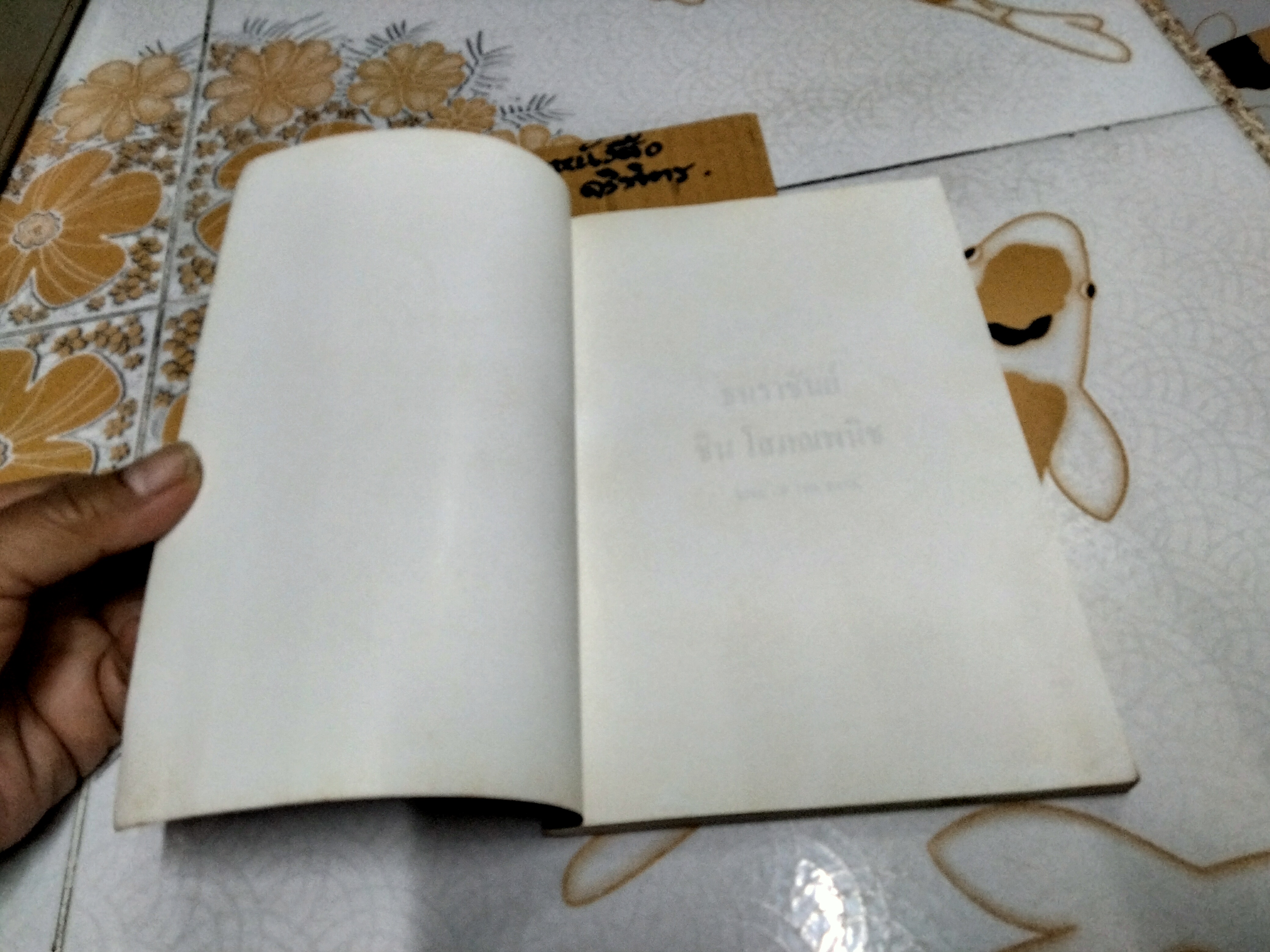 ธนราชันย์ - ชิน โสภณพนิช. King of the Bank โดยเสถียร จันทิมาธร