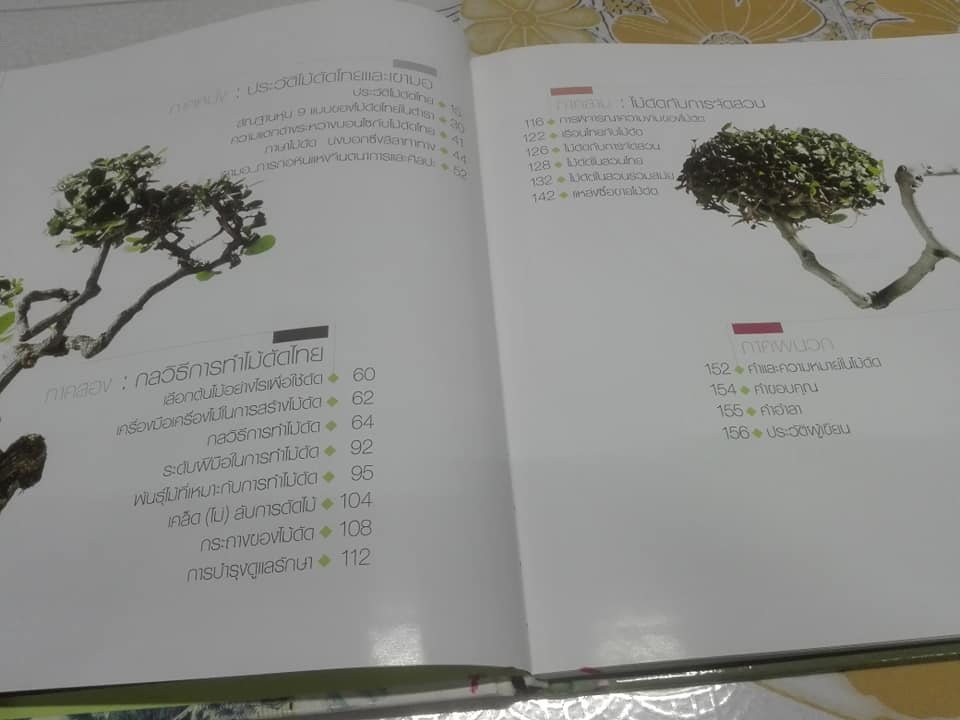 ไม้ดัดไทย (ปกแข็ง) โดย บัญชา เขมธร - ภูวดล น้ำดอกไม้ (มือหนึ่ง ในซีล) **สินค้าหมด**