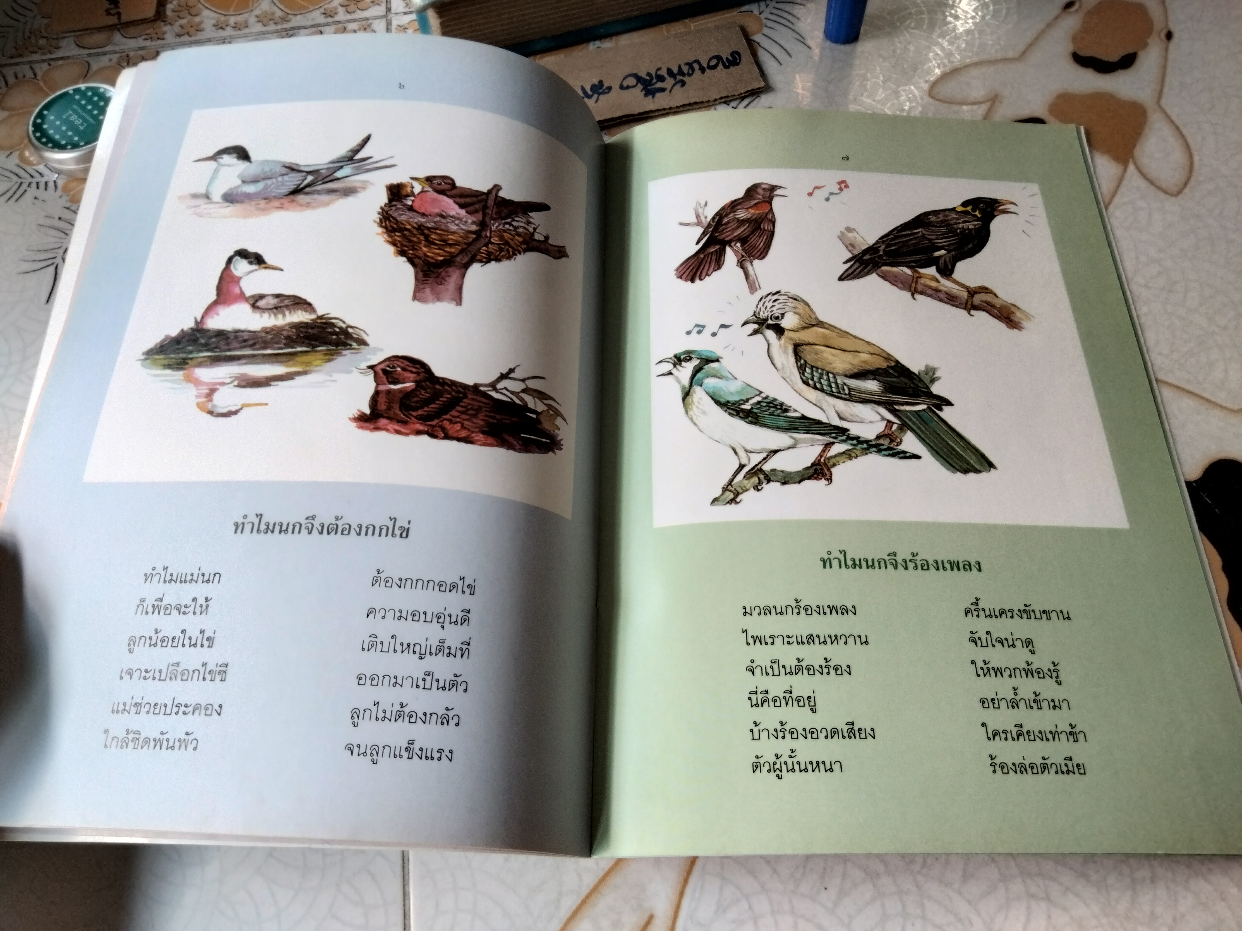 ชุดธรรมชาติน่ารู้ ปักษาน่าสนใจ อภิวรรณ วีระสมิทธ์ เรื่อง อดุลย์ กล่ำนาค ภาพ