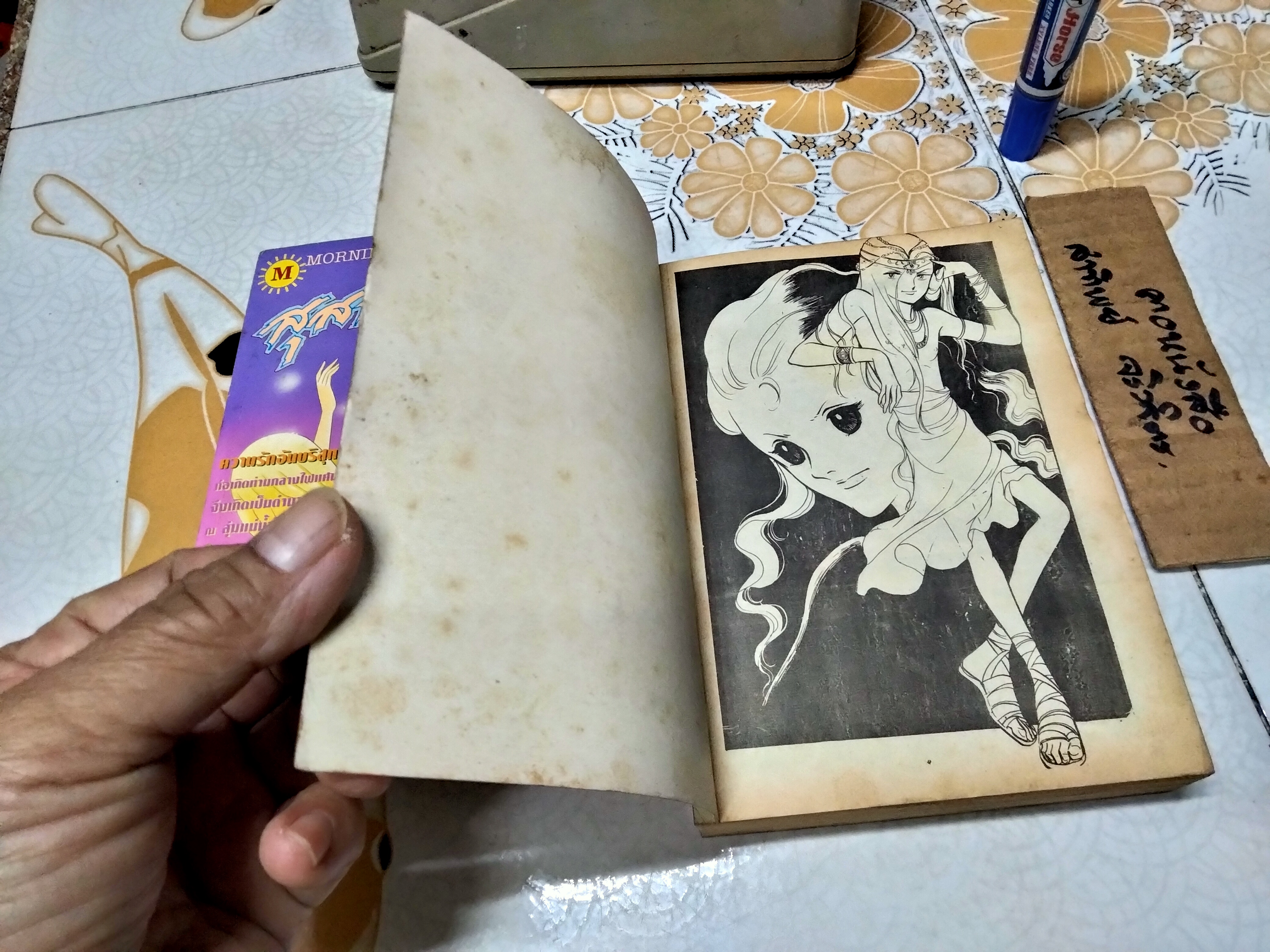 สุสานฟาโรห์ 2 เล่มจบ ผลงาน ทาเคมิยะ เคโกะ ฉบับรวมเล่ม 2 เล่มหนา สนพ.มอร์นิ่งซัน