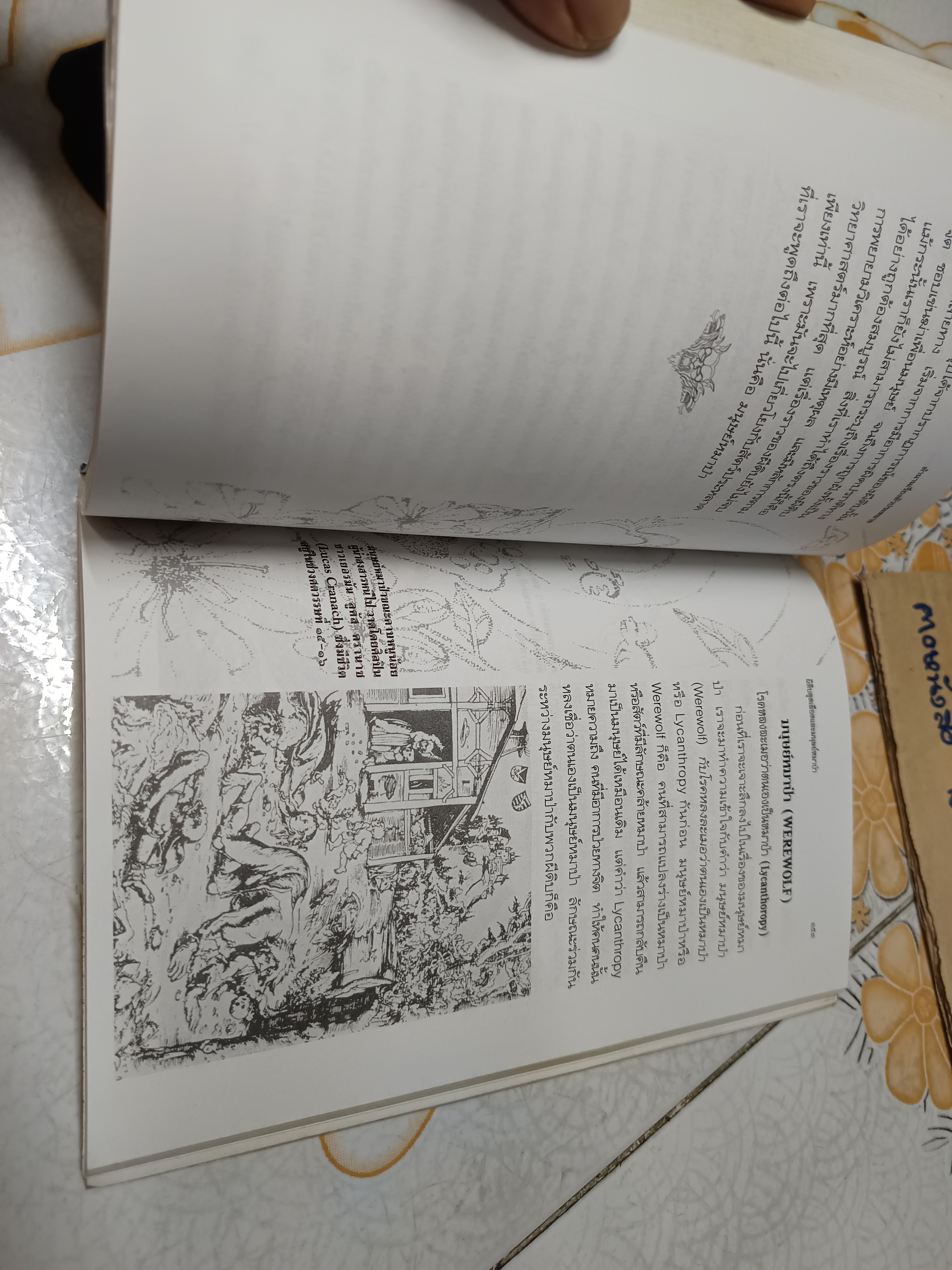 ตำนานเรื่องตัวประหลาด บัวแก้ว ไชยหลวงผา บก.เรียบเรียง พิมพ์ครั้งที่ 3 สนพ.เอนิกมา