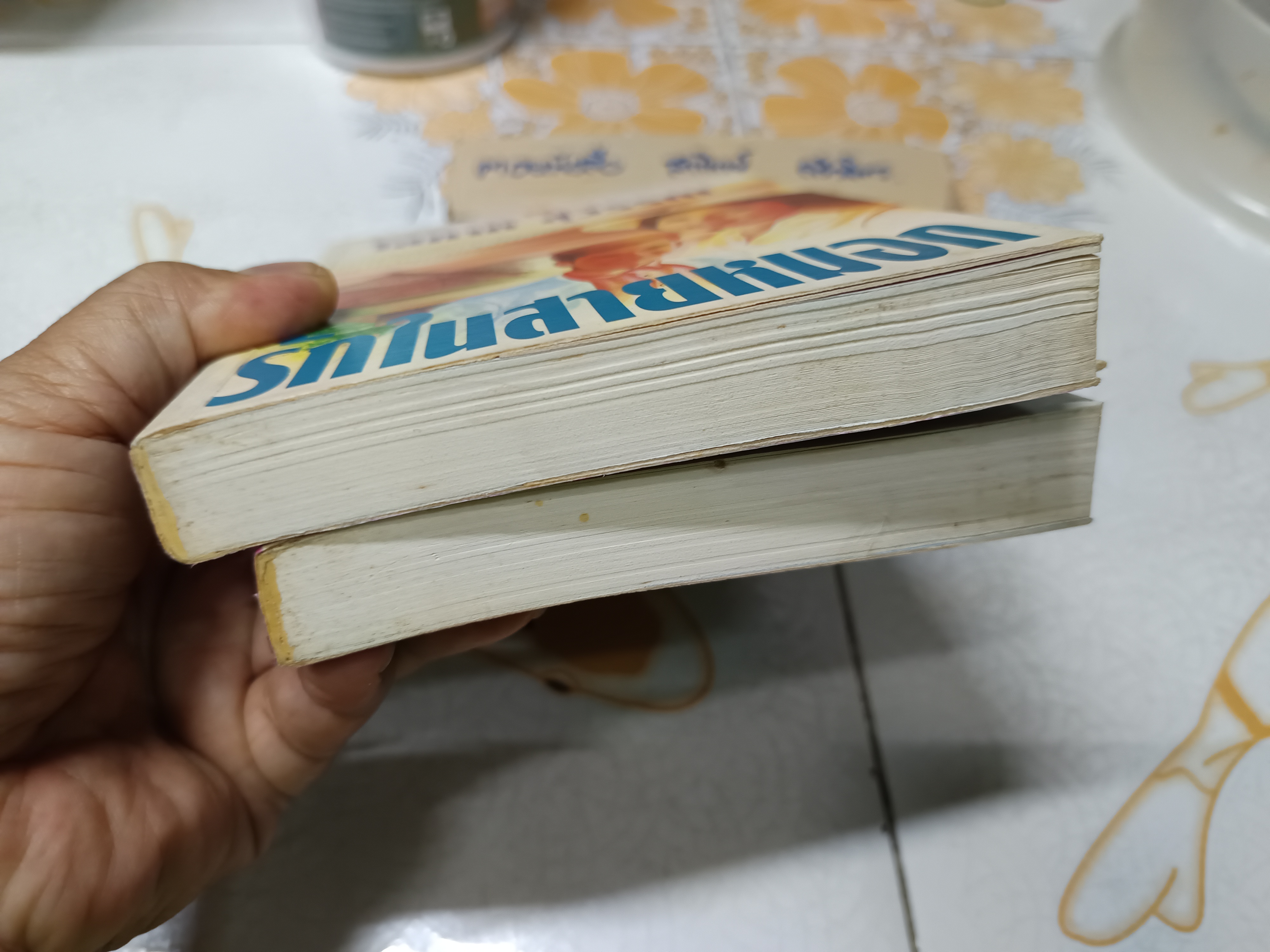 รักในสายหมอก (2 เล่มจบ) โสภาค สุวรรณ