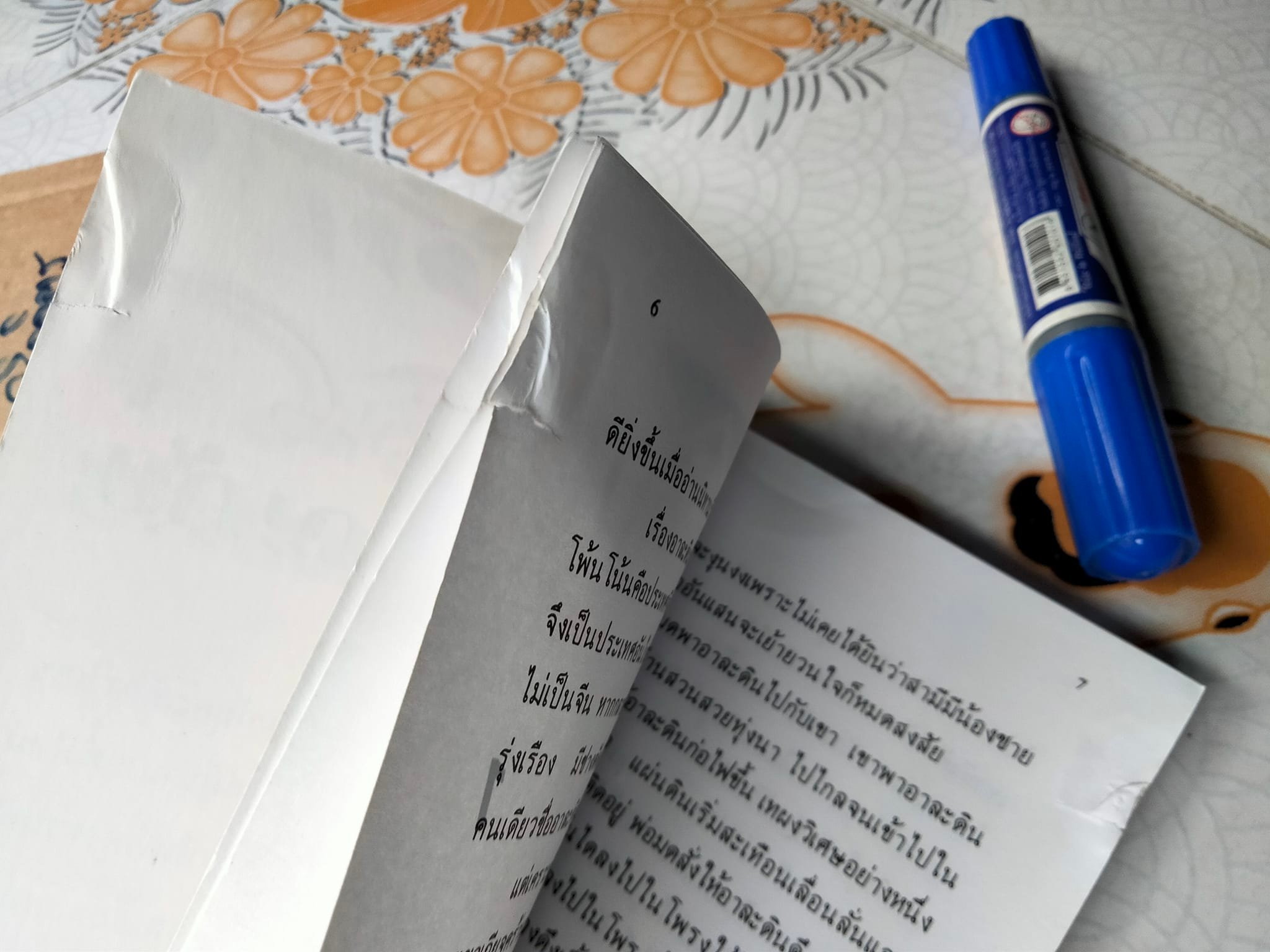 ลูกชายอาละดินผจญภัย เรื่องโดย ปิยตา วนนันทน์