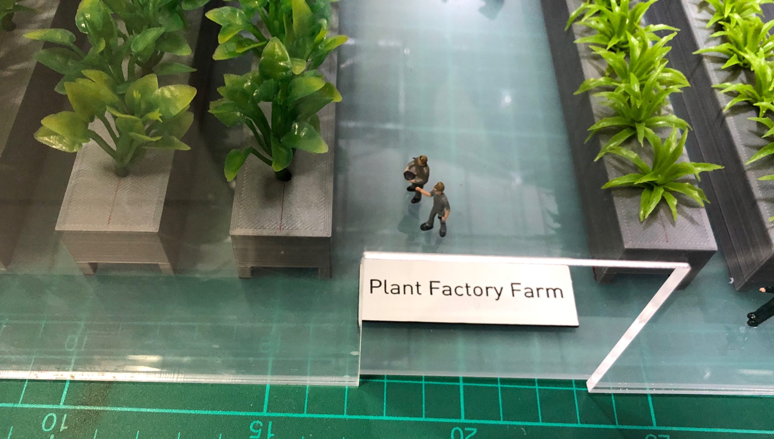 โมเดลโรงเรือนปลูกผักสลัด 30x35 cm พร้อมระบบ Monitoring Farm in Greenhouse