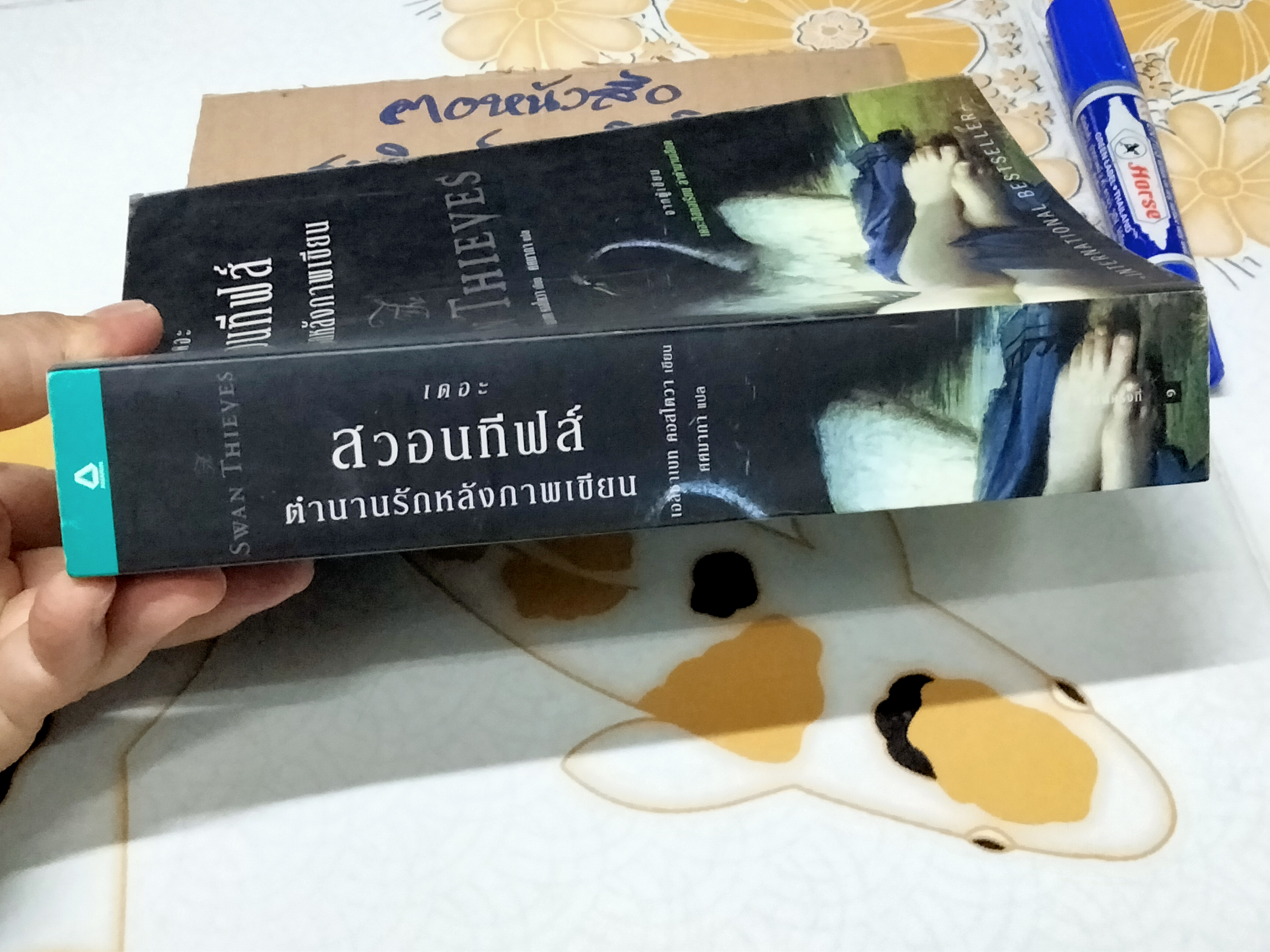 เดอะสวอนทีฟส์ ตำนานรักหลังภาพเขียน (Swan Thieves) - เอลิซาเบท คอสโตวา เขียน / ศศมาภา แปล (มีคราบน้ำ)