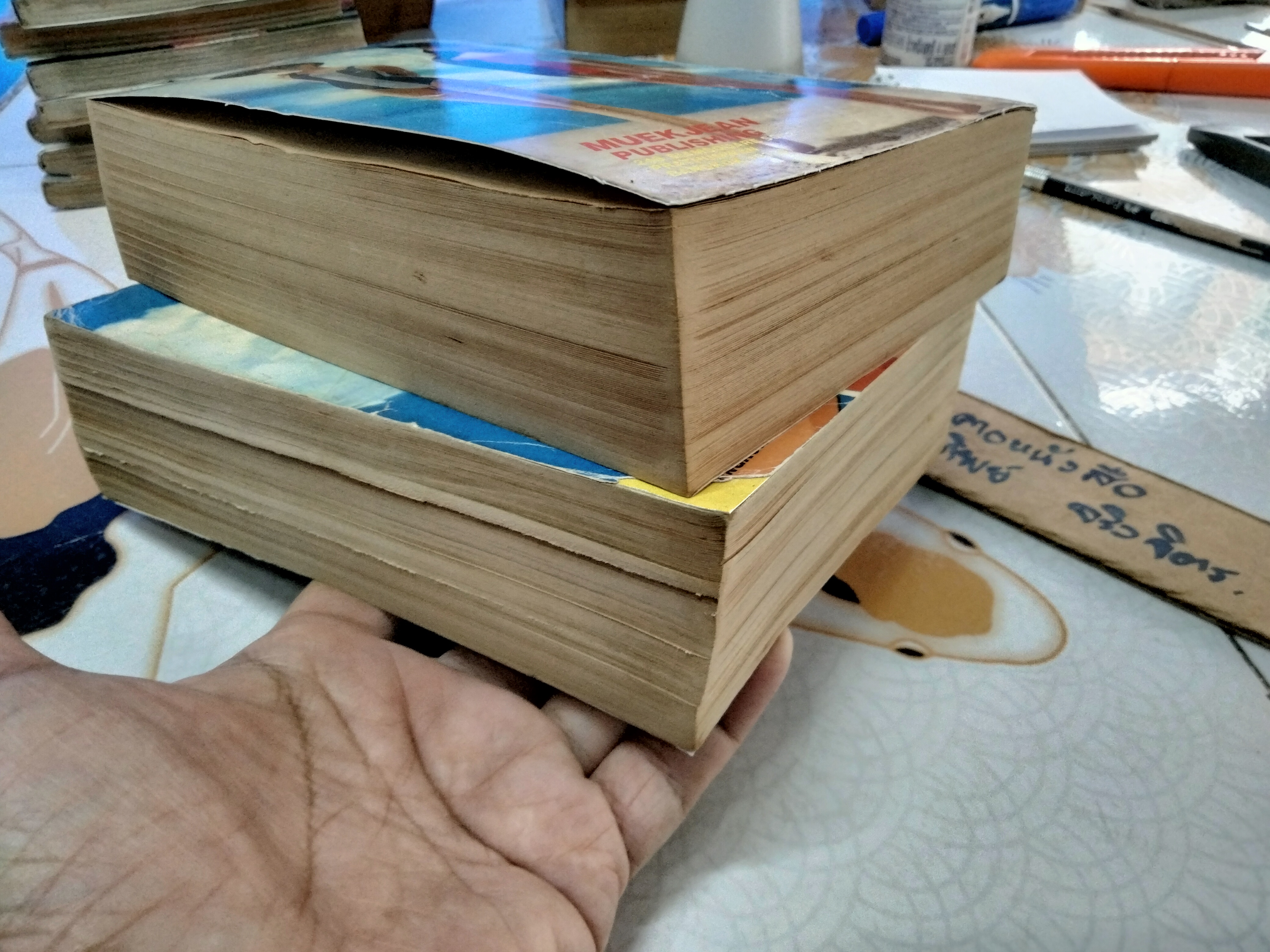 จ้าวป่าโหดมันฮา ภาคพิเศษ 2 เล่มจบ สนพ. หมึกจีน