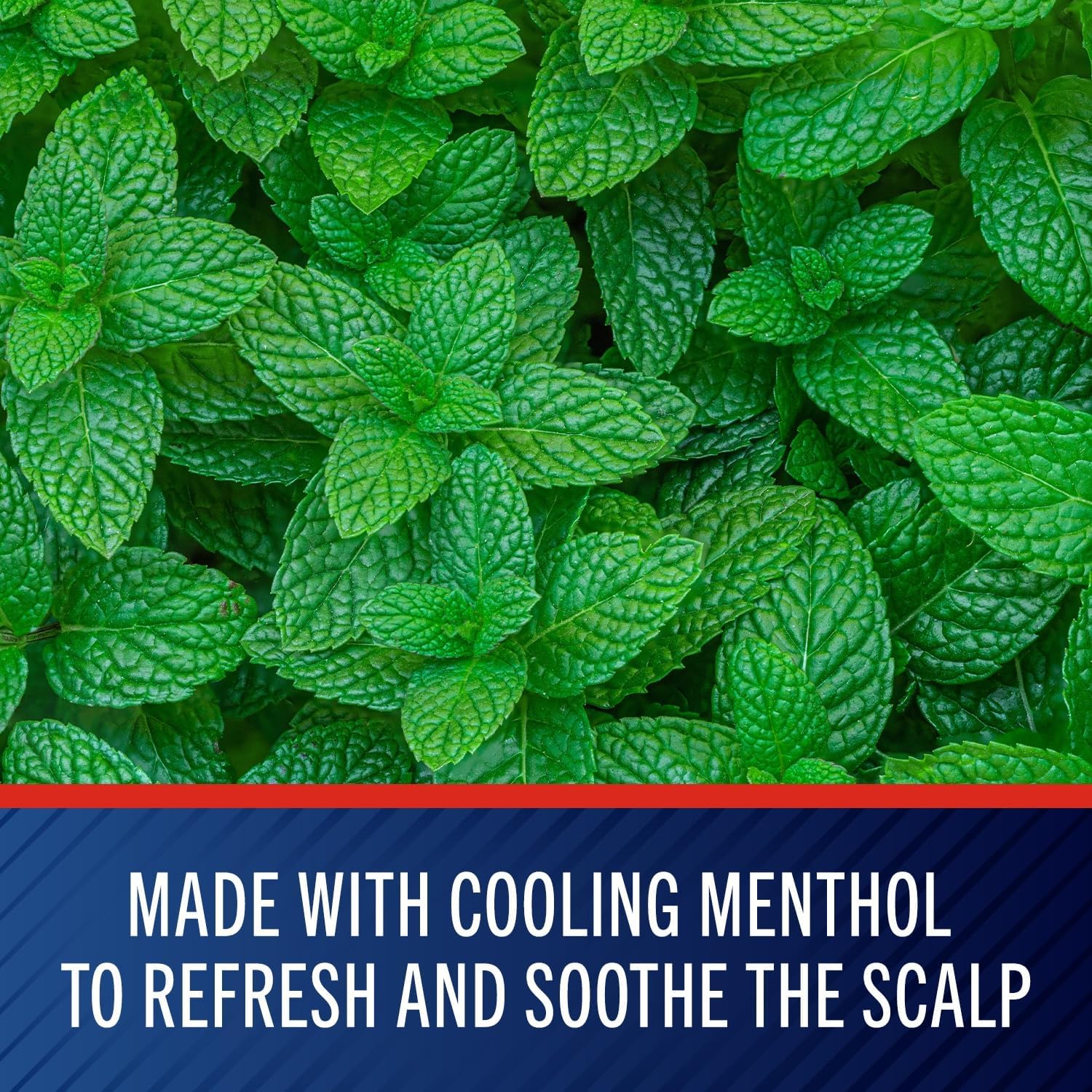 (Pre Order) Selsun Blue® Men's Care Medicated Antidandruff Shampoo, Maximum Strength Scalp Treatment With Selenium Sulfide แชมพูขจัดรังแค สำหรับผู้ชาย