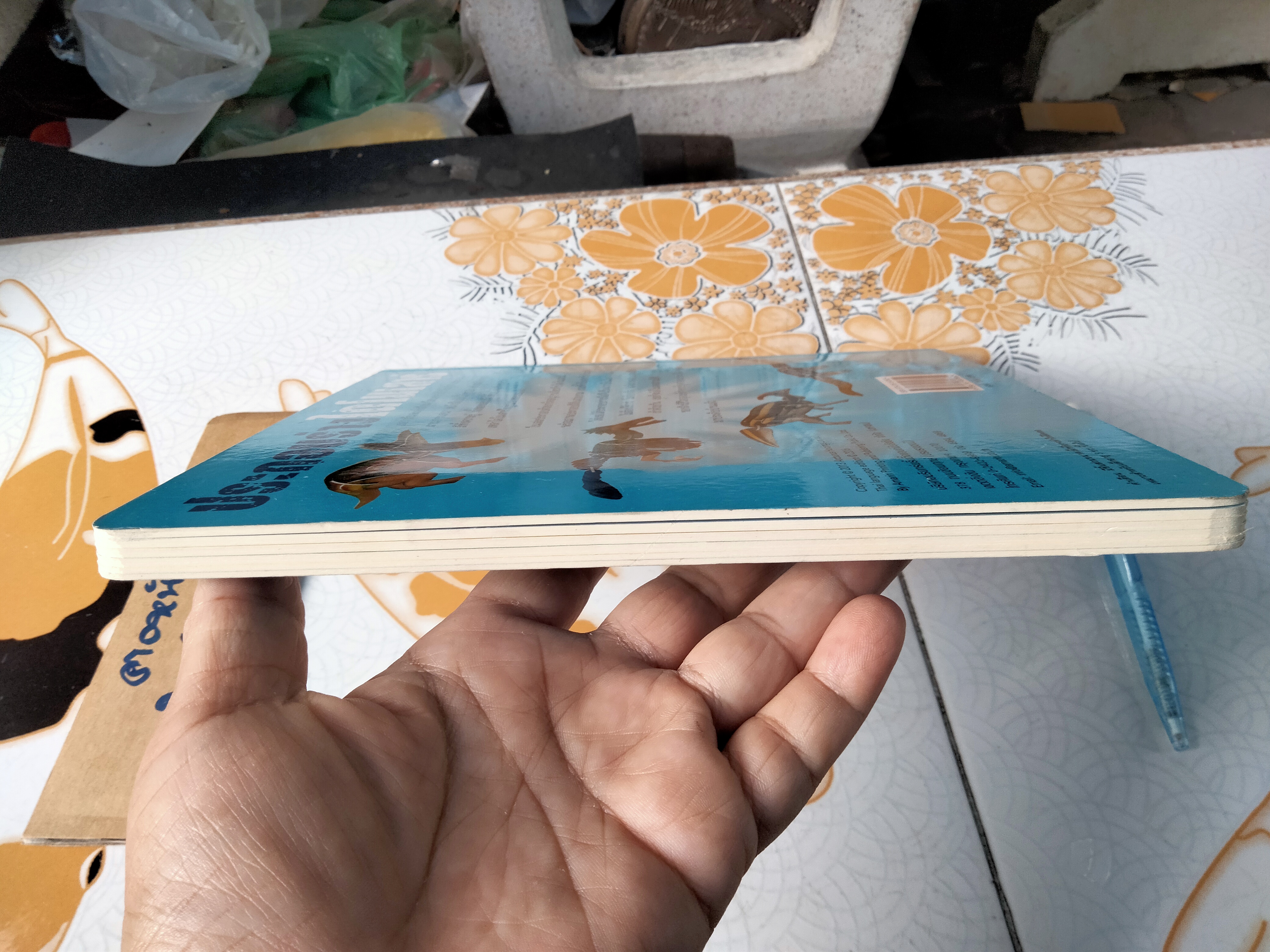 ประกอบร่างไดโนเสาร์ (บอร์ดบุ๊ค กระดาษแข็ง) **ไม่มีโมเดลไดโนเสาร์แล้ว