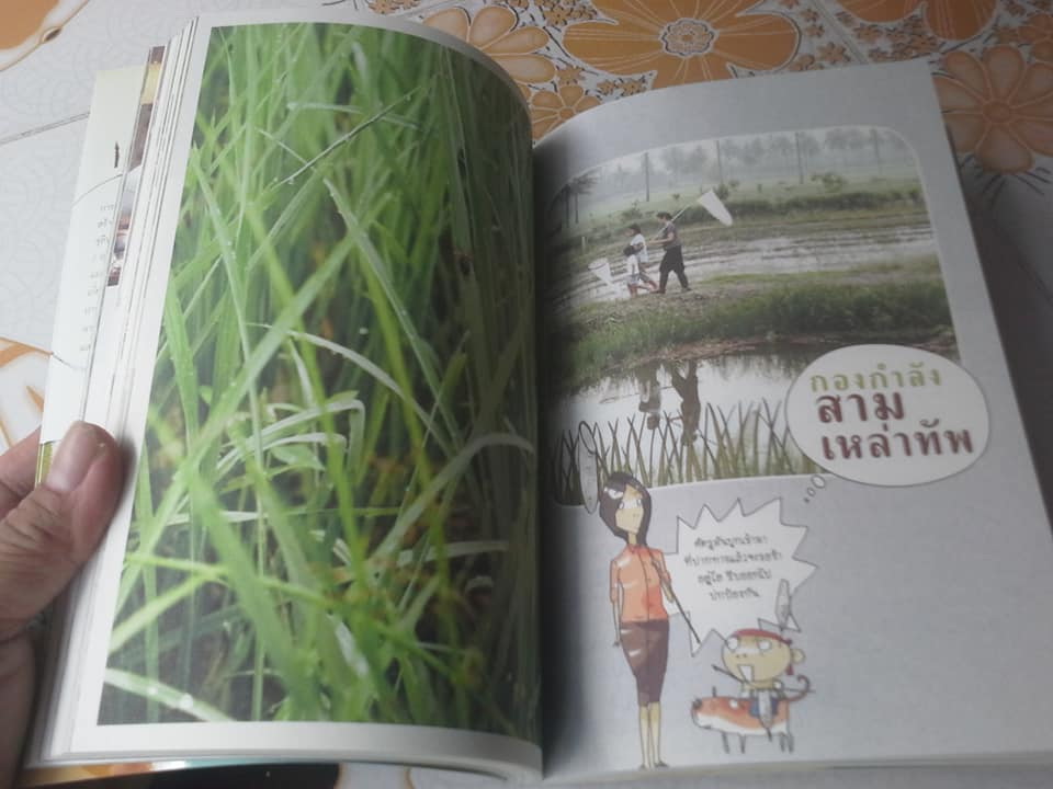 ฉันจะเป็นชาวนา คู่มือทำนาอินทรีย์สำหรับคนรุ่นใหม่ โดย สิริยากร พุกกะเวส **สินค้าหมด**