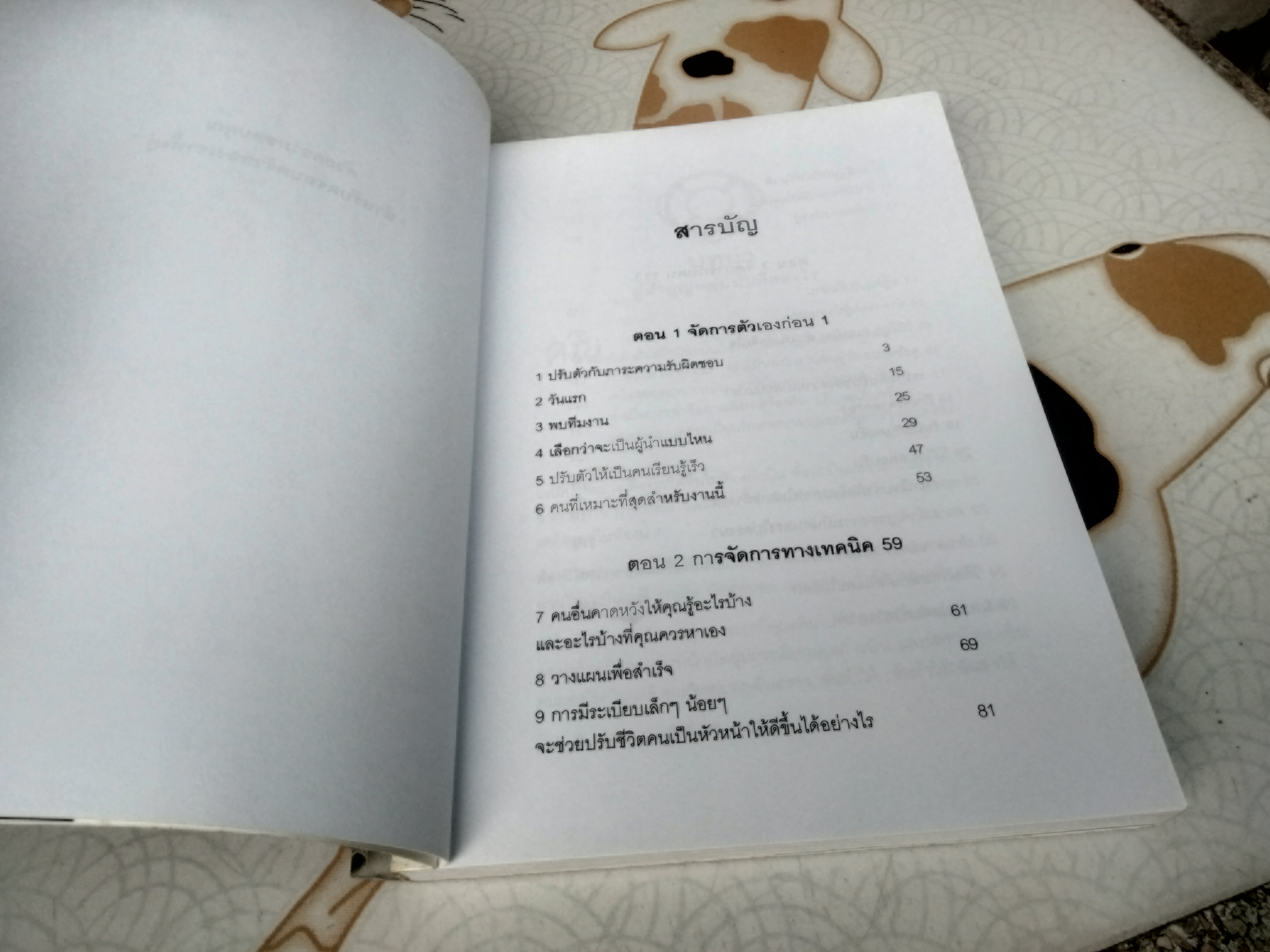 ผู้นำบุญหล่นทับ (The Accidental Leader) โดย ฮาร์วีย์ รอบบินส์ และ ไมเคิล ฟินเลย์ แปลโดย ศิระ โอภาสพงษ์