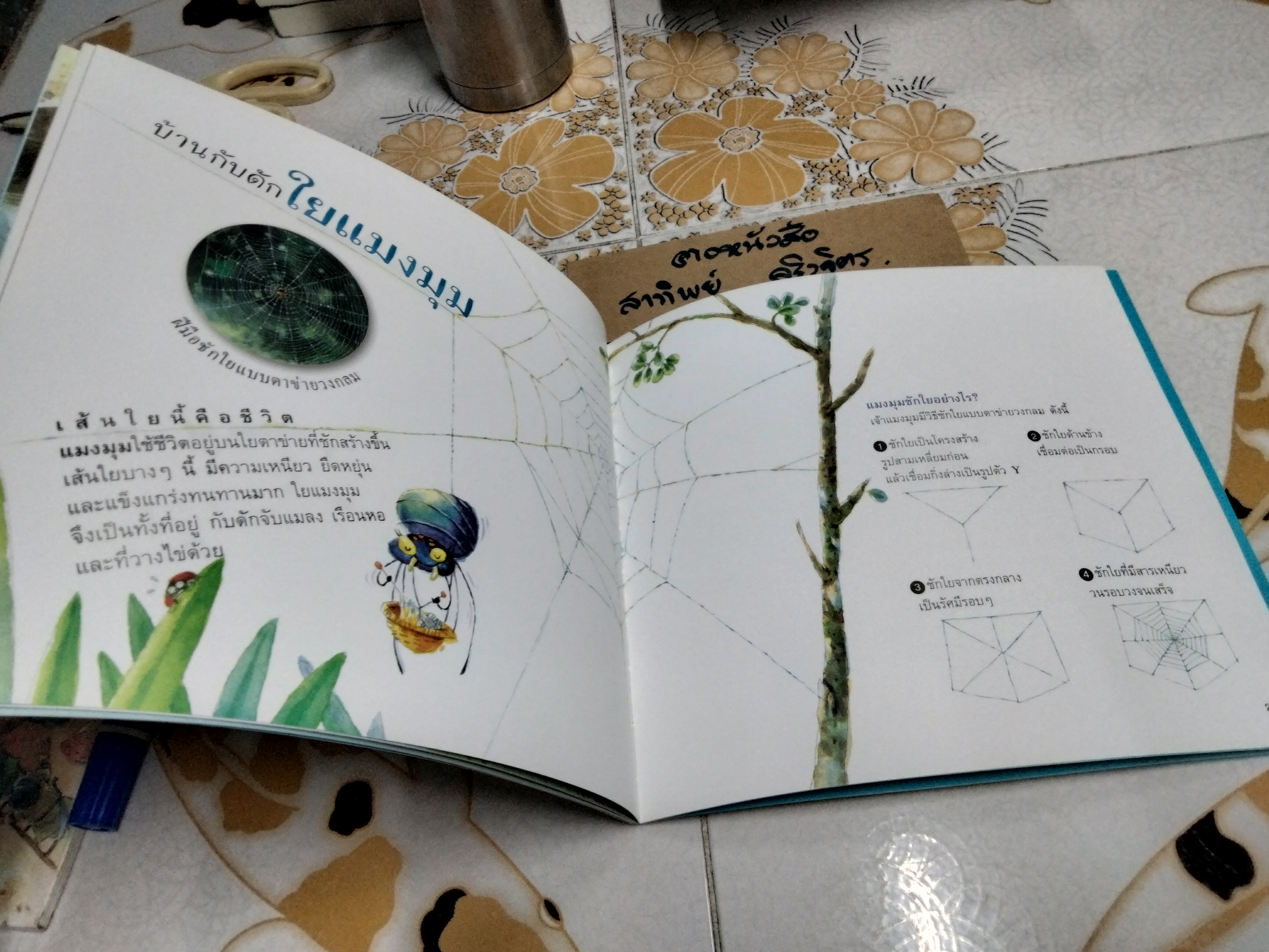 บ้านฉันมหัศจรรย์ (ชุดวิทยาศาสตร์รุ่นเยาว์-แปลกแต่จริง)