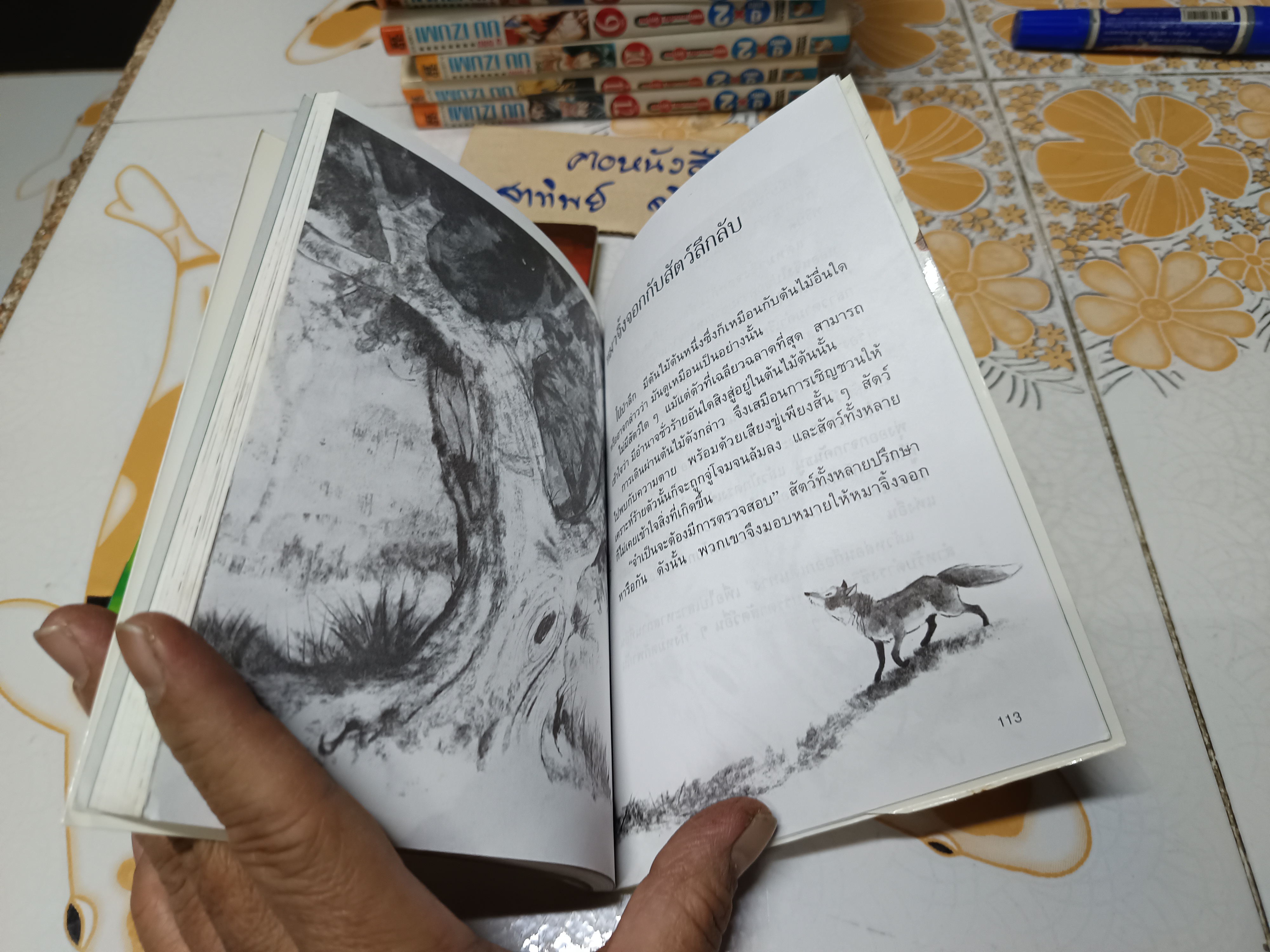 (ขายรวม 2 เล่ม ) นิทานเลโอนาร์โด ดา วินซี เล่ม 1-2