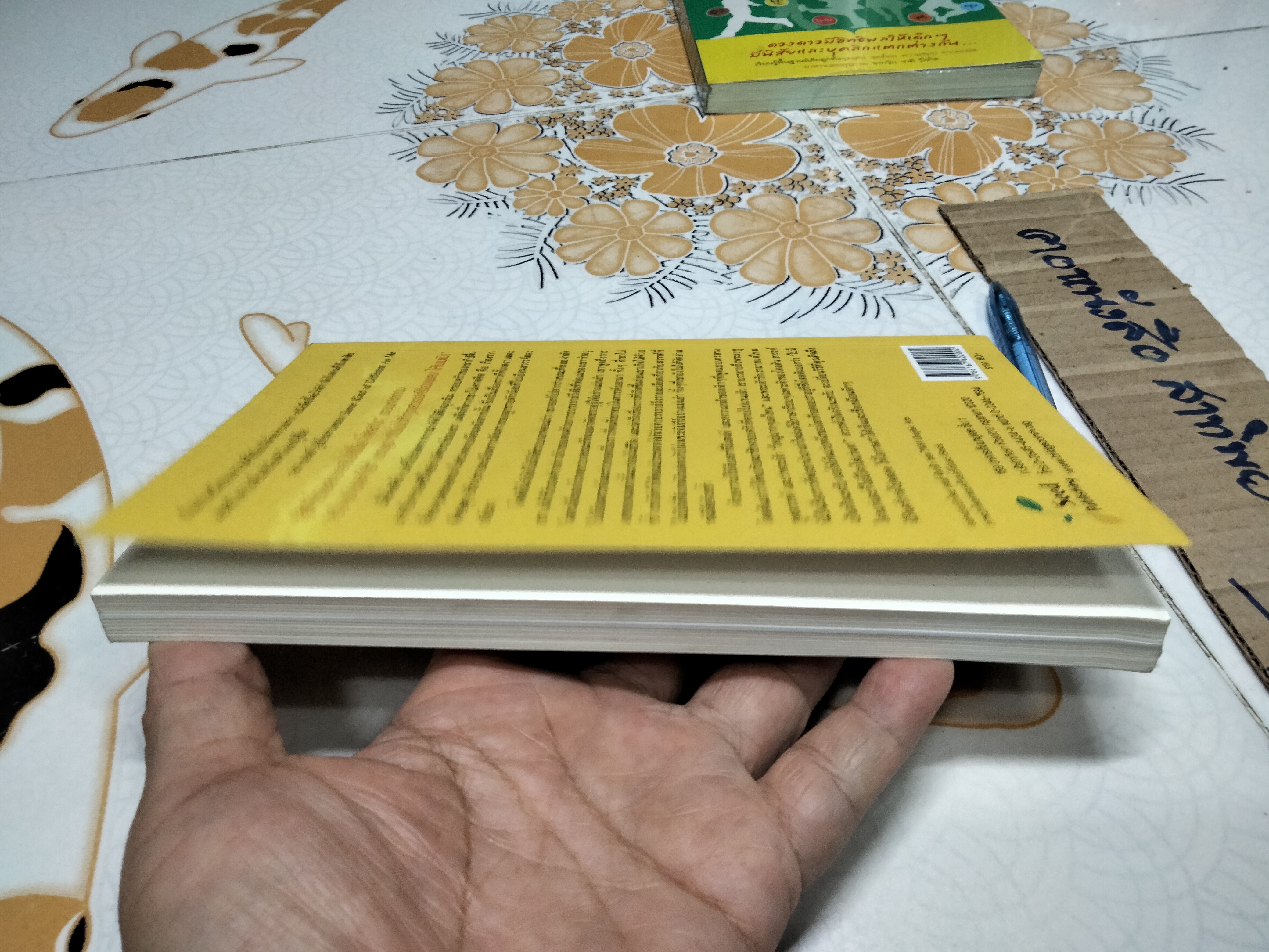 สวรรค์มีจริงนะครับ (Heaven is for Real) ท็อด เบอร์โป ร่วมกับ ลินน์ วินเซนต์ เขียน พักตร์พริ้ง อัครสวาท แปลและเรียบเรียง **สินค้าหมด**