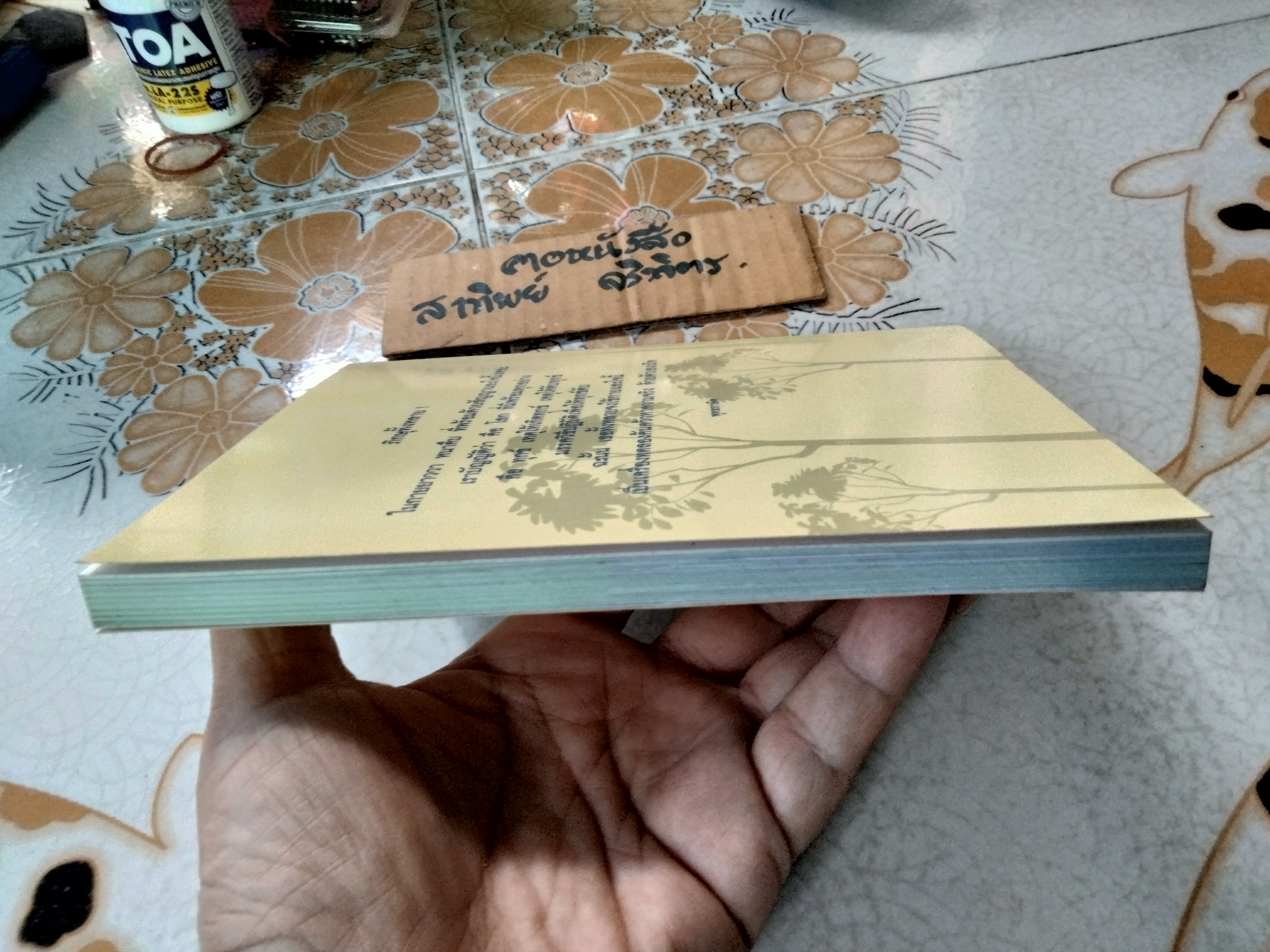 เขียนไว้เมื่อเริ่มเป็นไม้ใกล้ฝั่ง โดย แสวง บุญเฉลิมวิภาส