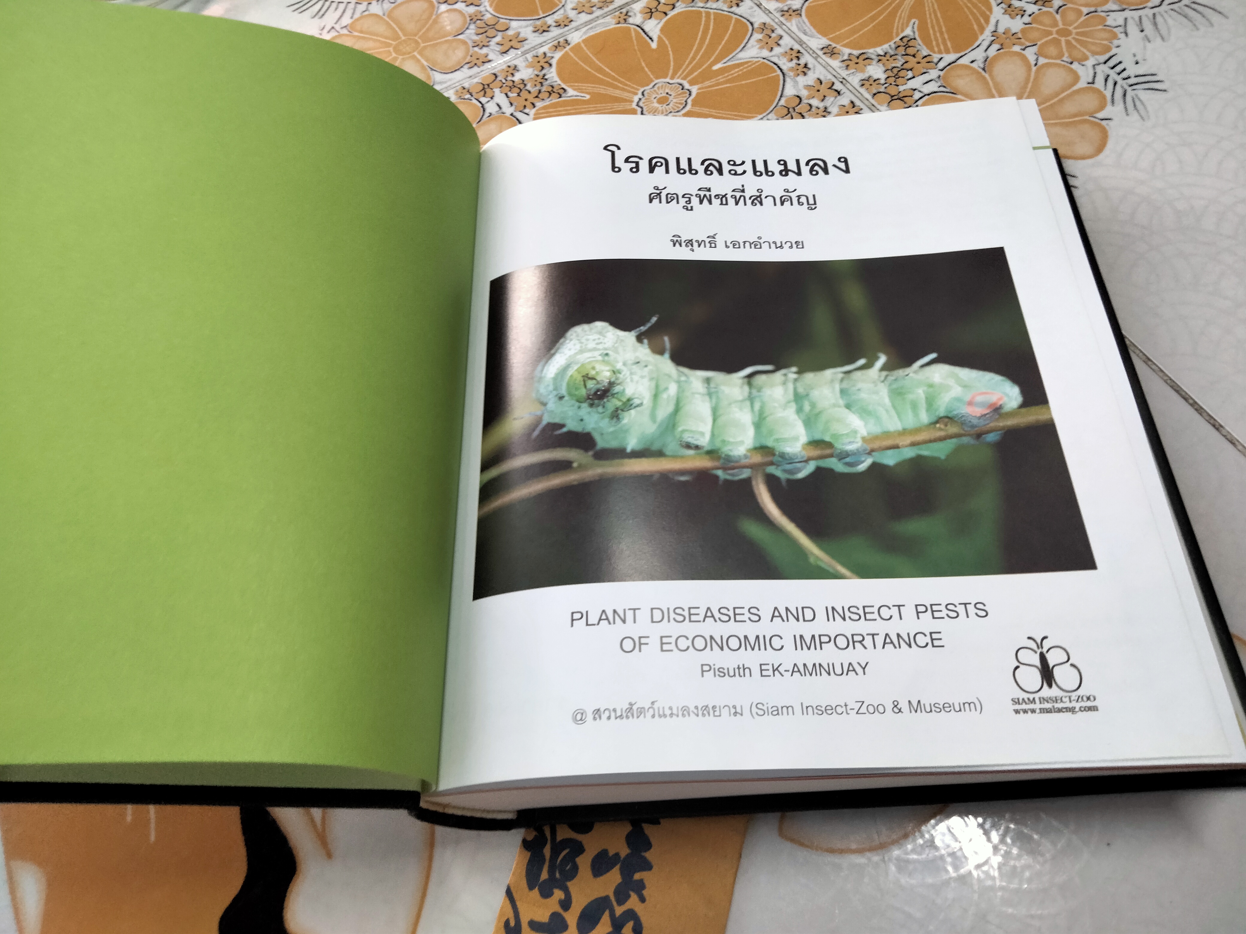 หนังสือ โรคและแมลง ศัตรูพืชที่สำคัญ - พิสุทธิ์ เอกอำนวย PLANT DISEASES AND INSECT PESTS OF ECONOMIC IMPORTANCE (พิมพ์ 2/2553) **สินค้าหมด*"