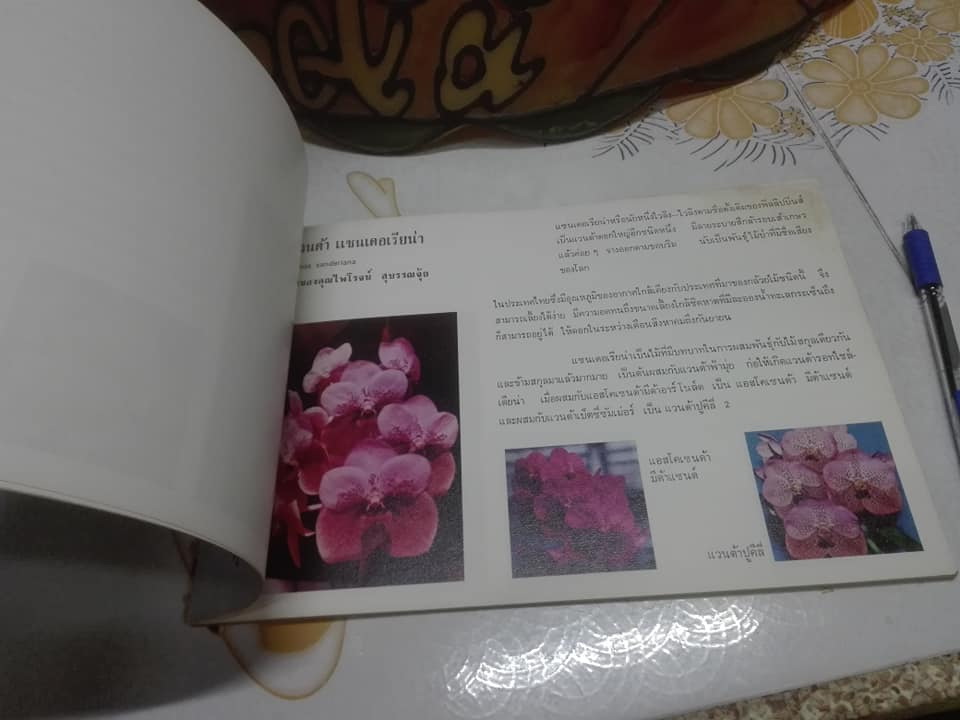 อนุทินกล้วยไม้ คู่มือนักเลี้ยงกล้วยไม้ทุกระดับ