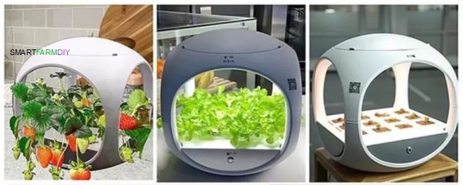 เครื่องปลูกผัก SMARTDIY GROW
