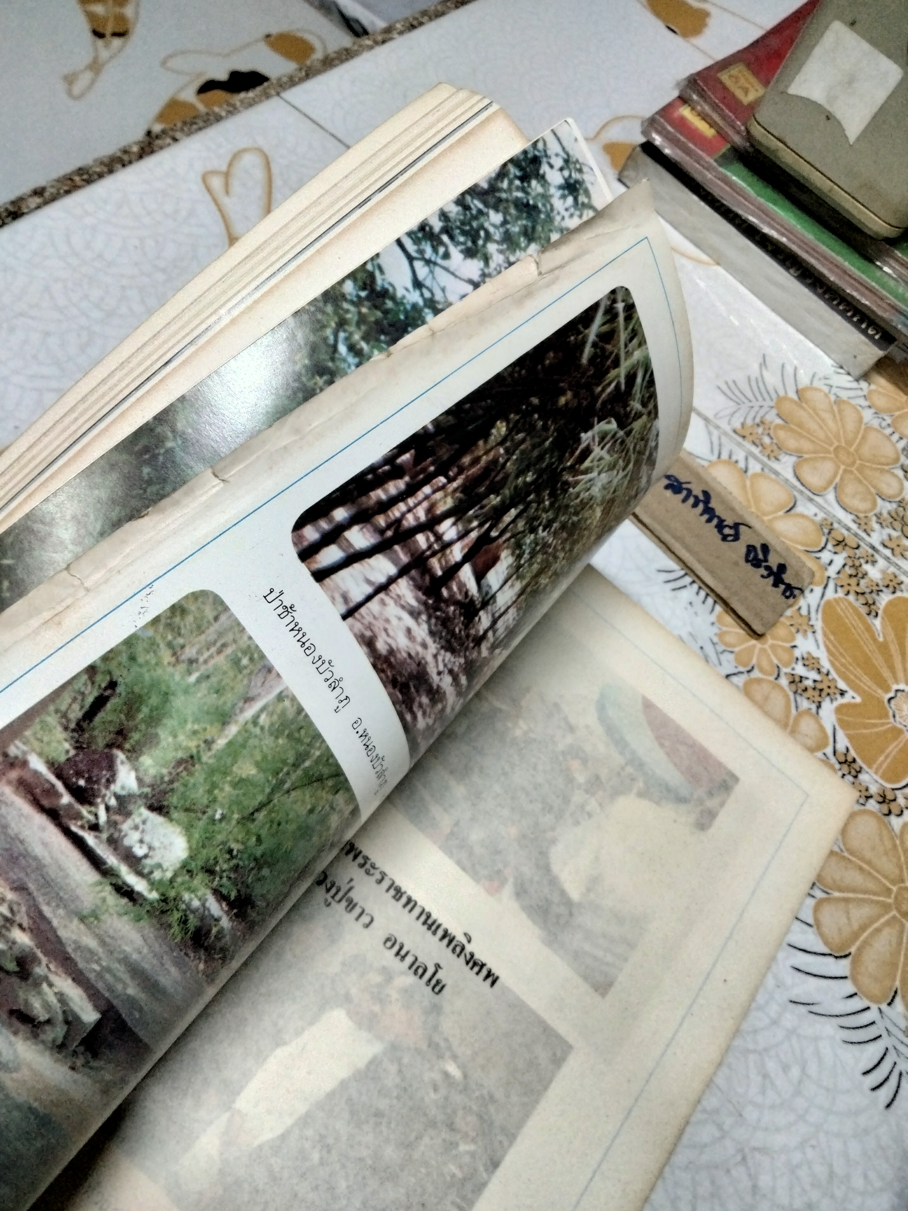 อนุสรณ์งานพระราชทานเพลิงศพ หลวงปู่ขาว อนาลโย วัดถ้ำกลองเพล 11 กุมภาพันธ์ 2527