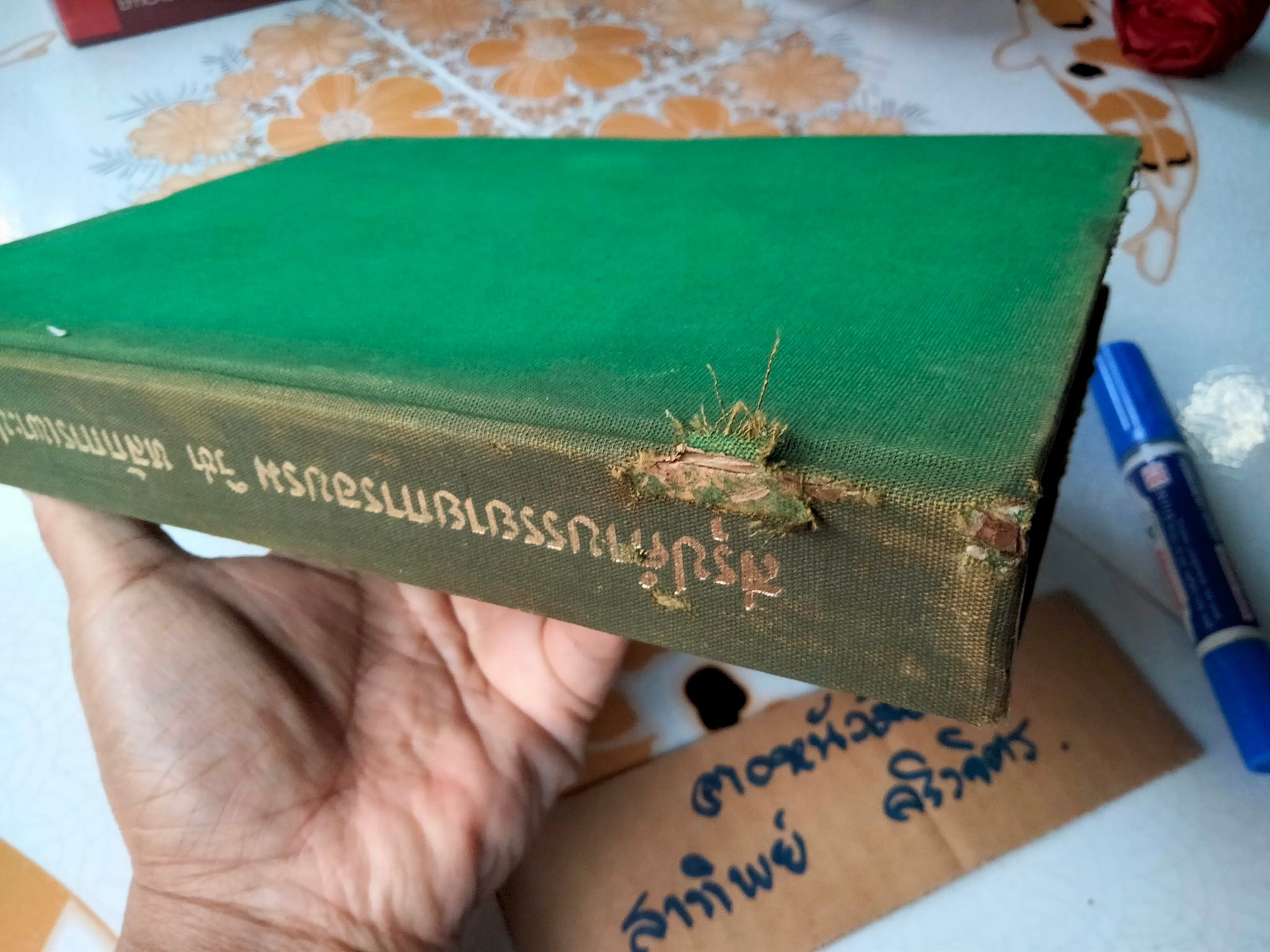 สรุปคำบรรยายการอบรมวิชา หลักการเพาะปลูกกล้วยไม้ ของ สมาคมกล้วยไม้แห่งประเทศไทย