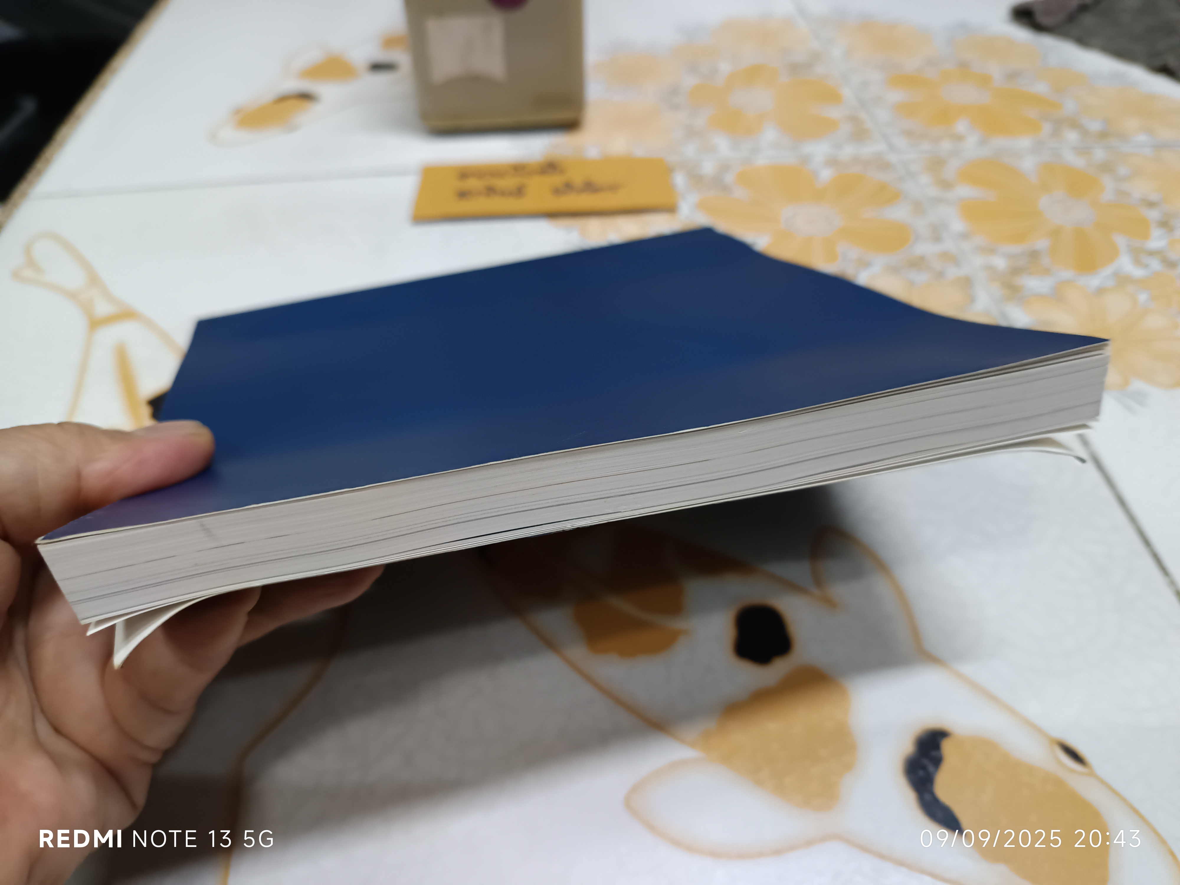 กระเบื้องถ้วยกะลาแตก โดย พิมพ์ประไพ พิศาลบุตร หนังสืออนุสรณ์นางระศะนา ประธานราษฎร์นิกร #โปจูลี่กี่