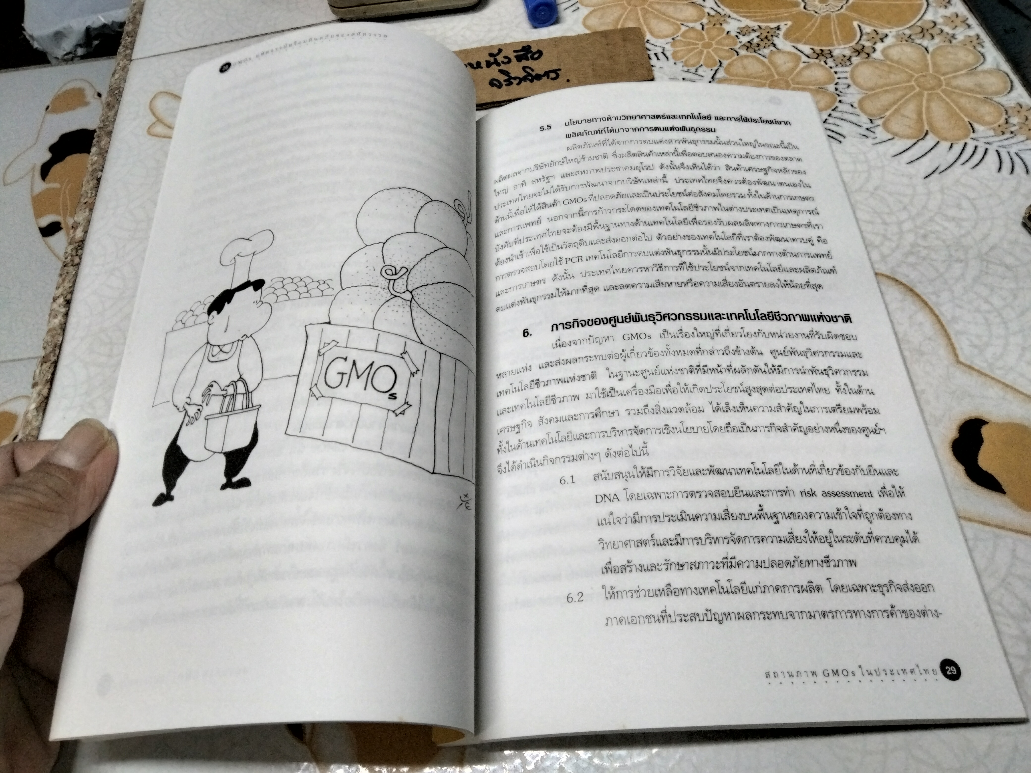 GMOs มหัศจรรย์หรือมหันตภัยของสหัสวรรษ โดย มูลนิธิบัณฑิตยสภาวิทยาศาสตร์และเทคโนโลยีแห่งประเทศไทย พิมพ์ครั้งแรกพ.ศ 2543