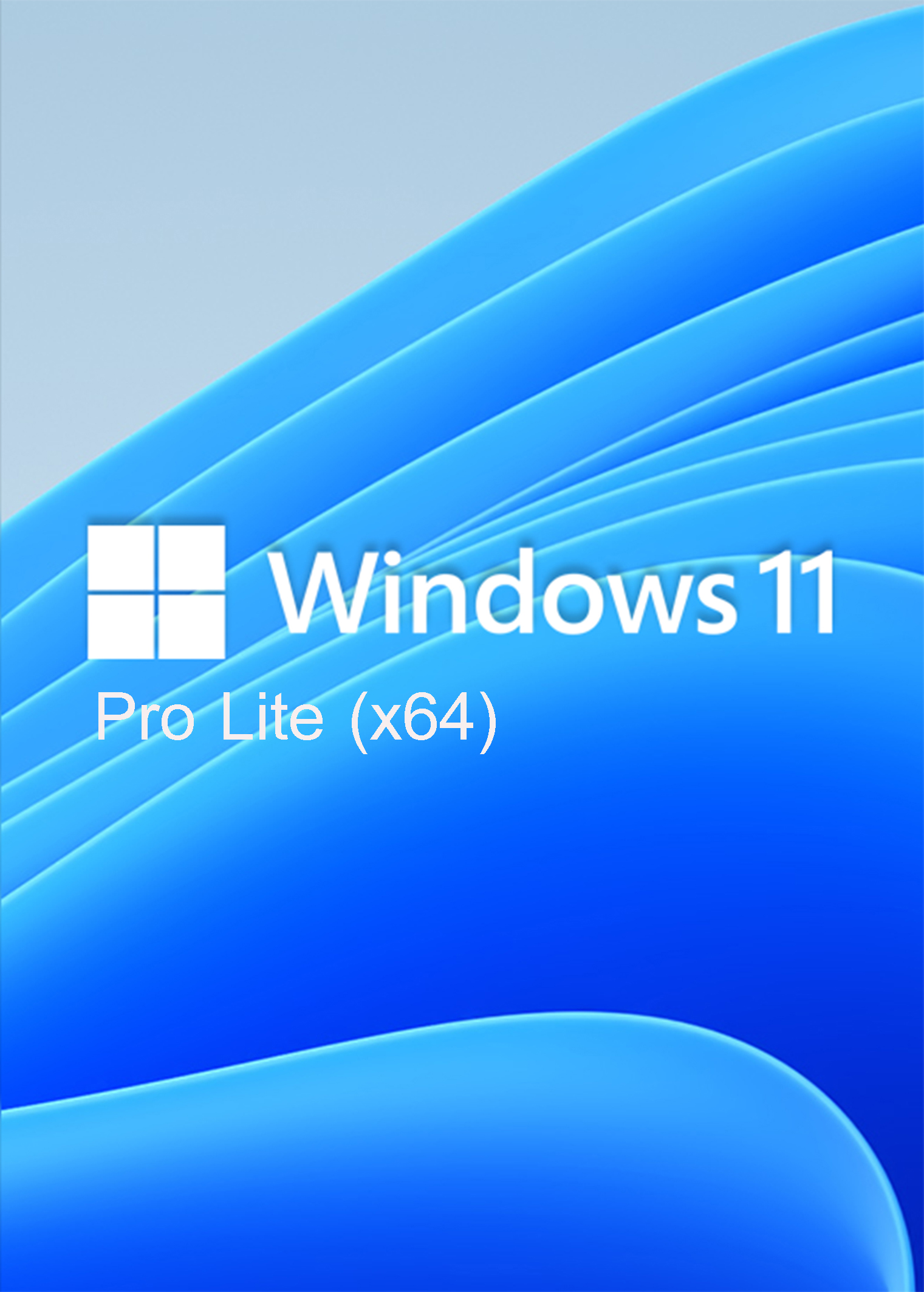 Windows 11 Pro Lite (x64) ( 1 DVD )