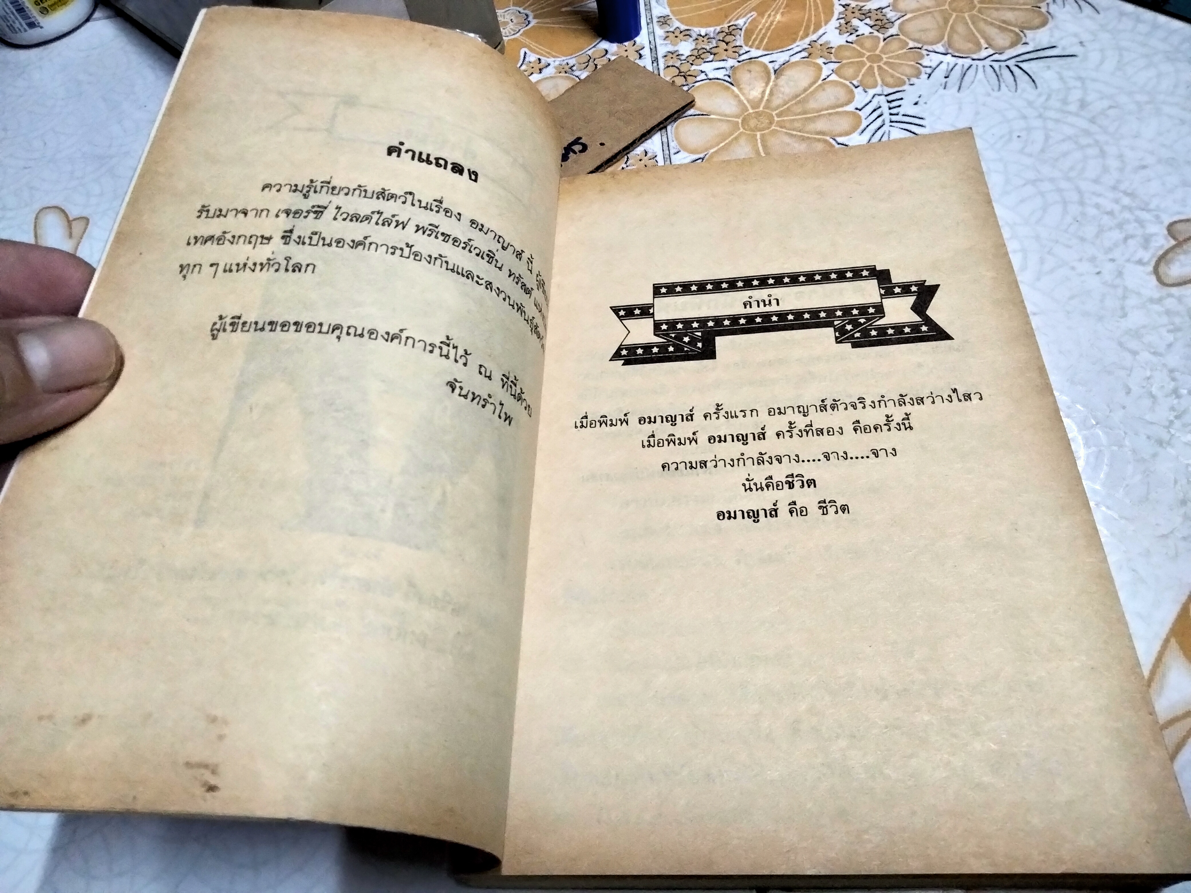อมาญาส์ (เล่มเดียวจบ) จันทรำไพ พิมพ์ครั้งที่ 2/2528 สนพ.บำรุงสาส์น **สินค้าหมด**