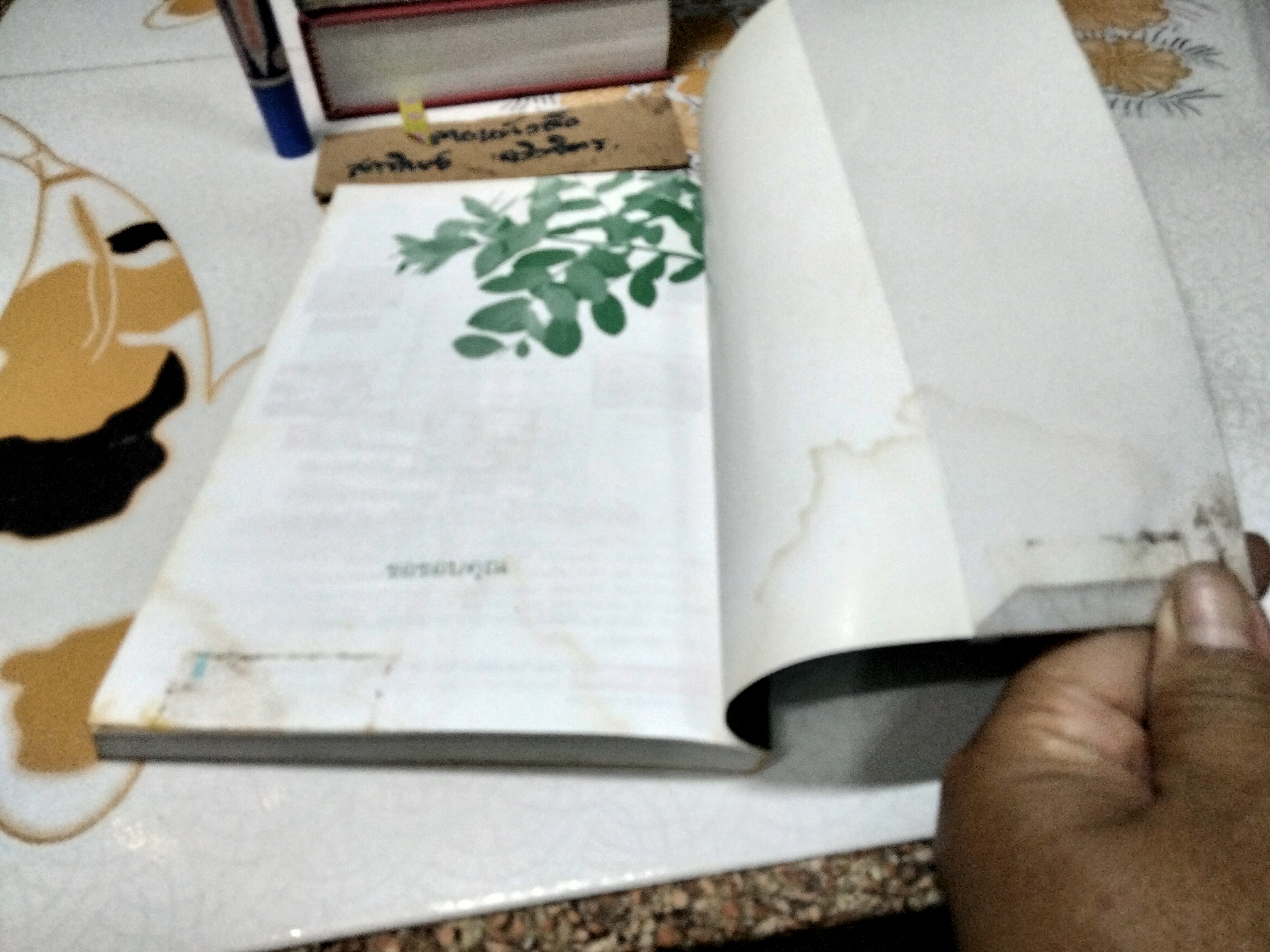 วิธีชนะทุกข์ เพื่อสร้างสุขให้ตนเอง ฉบับครอบครัว โดย ปริญญา ตันสกุล (หนังสือโดนน้ำ)