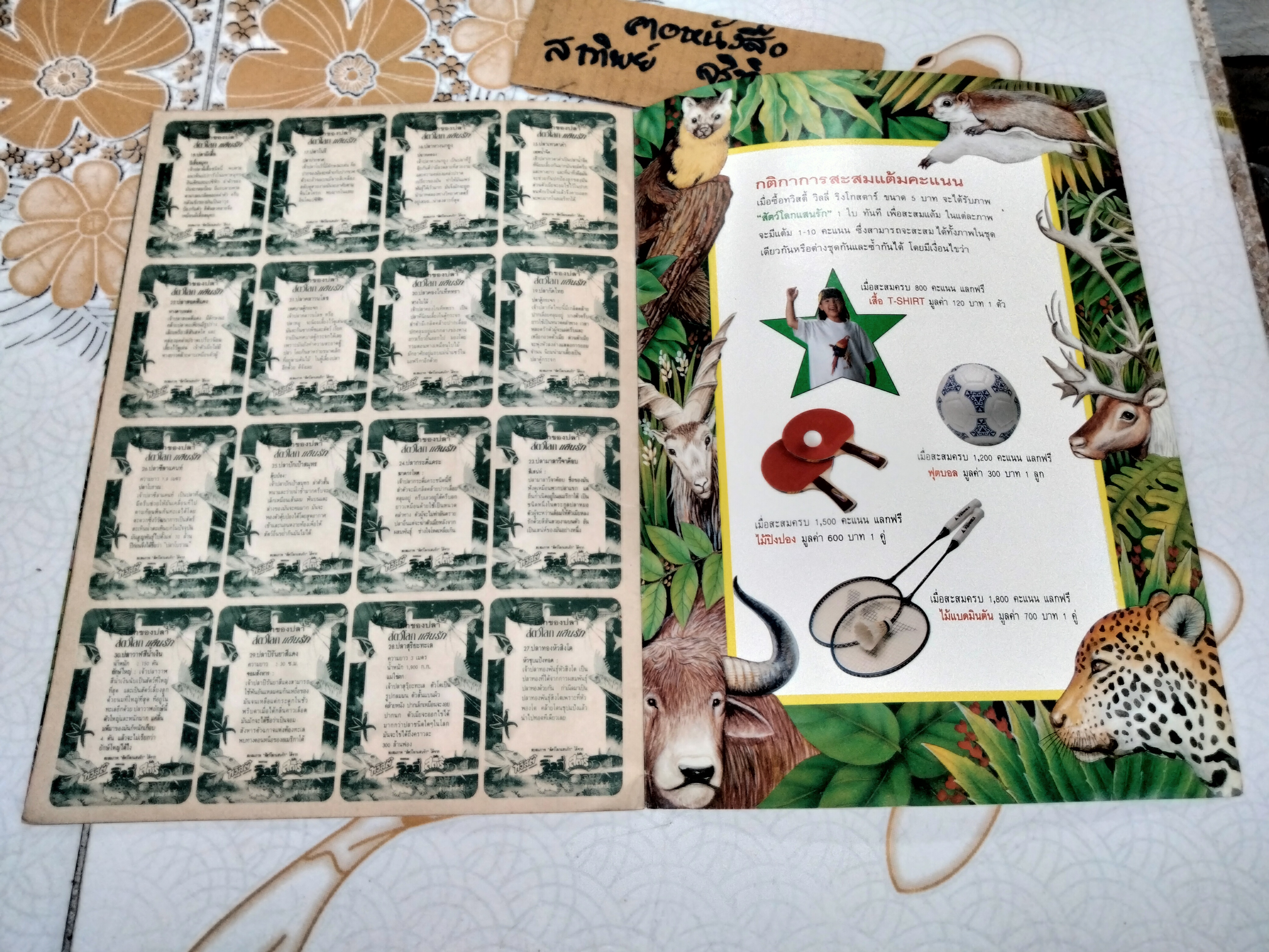 สมุดสะสมภาพ - สัตว์โลกแสนรัก (สมุดเปล่า) **สินค้าหมด**