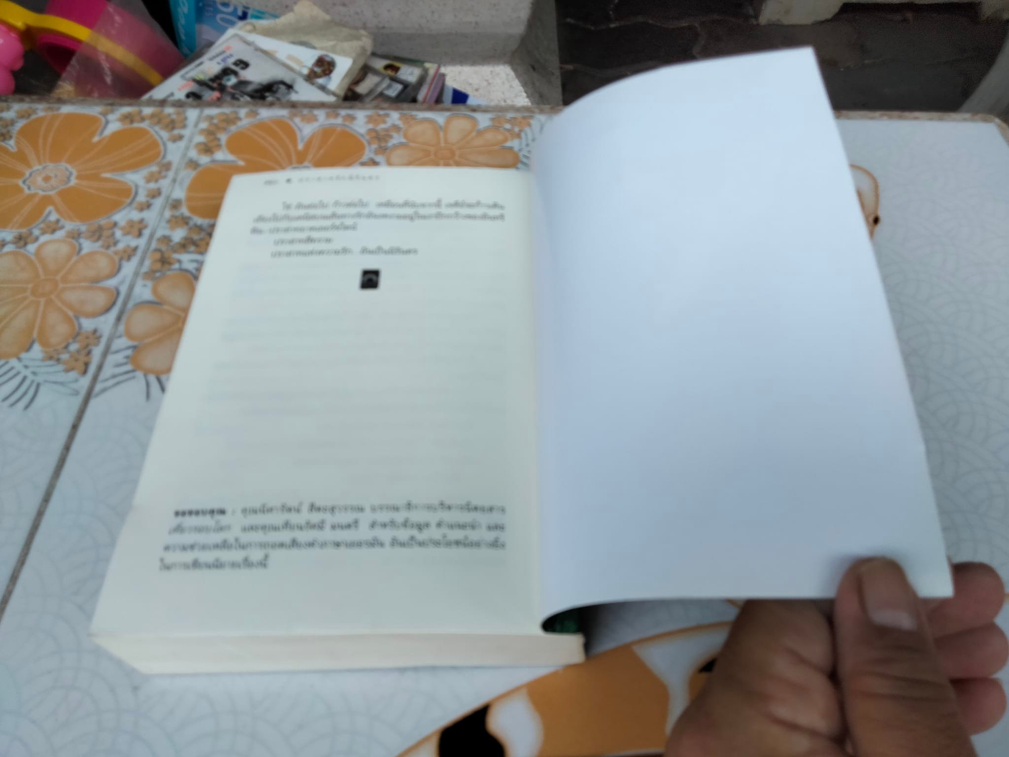 ปราสาทรักนิรันดร - ดวงตะวัน **สินค้าหมด**