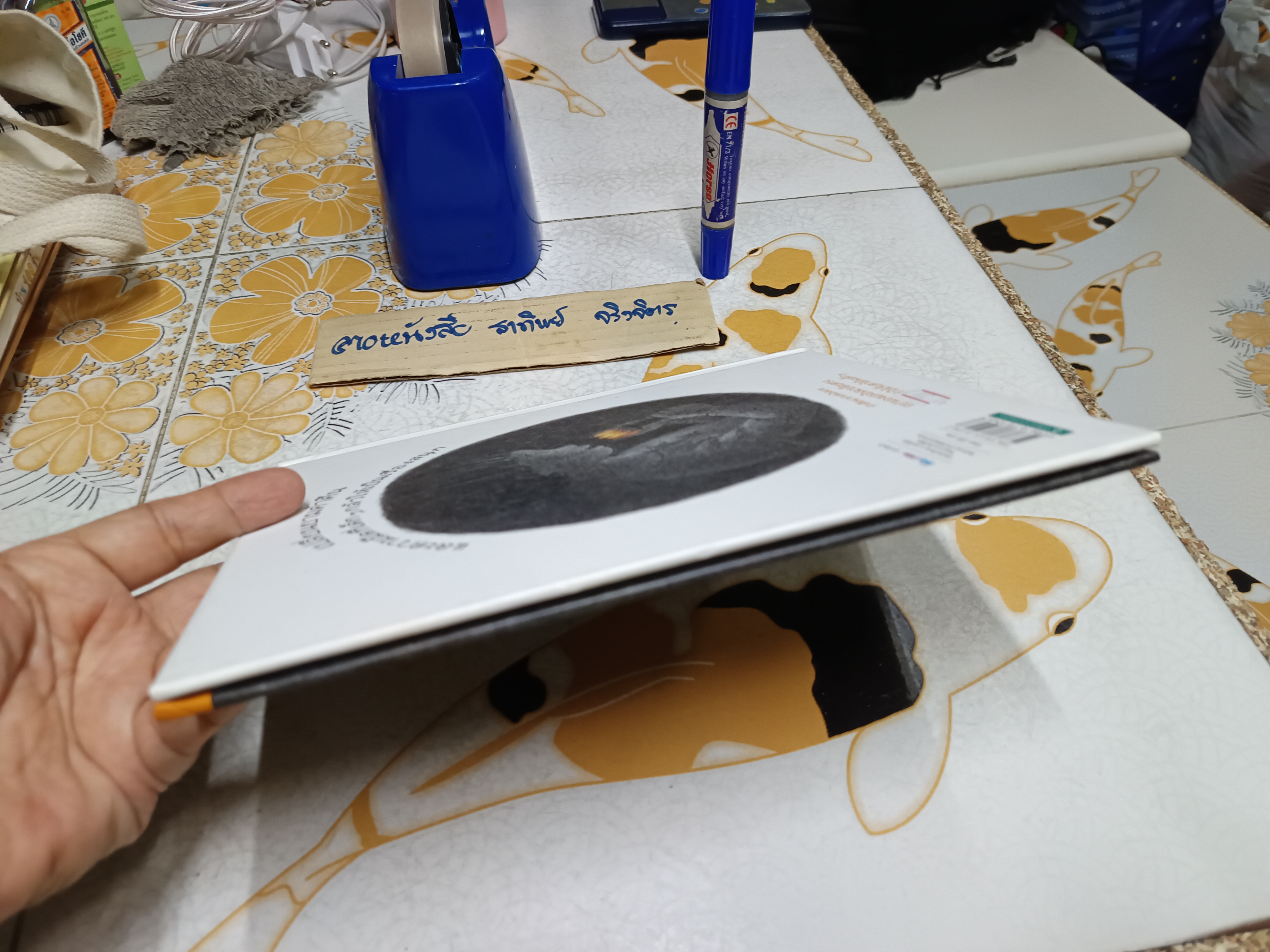 เล่นแสงไฟฉาย (ปกแข็ง) สำนักพิมพ์ : Amarin Kids พิมพ์ 2/2560