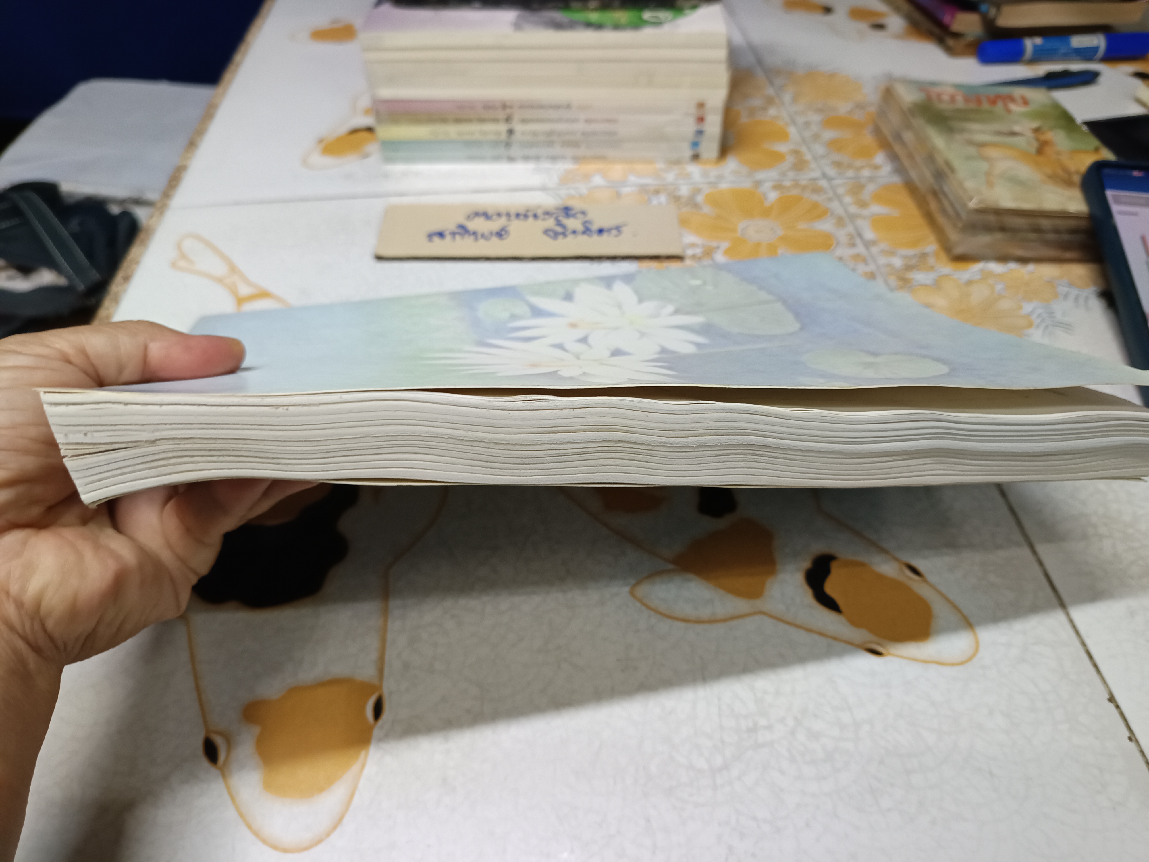 รวมผลงานเพลง ท่านผู้หญิงพวงร้อย (สนิทวงศ์) อภ้ยวงศ์ พิมพ์ครั้งแรก สิงหาคม 2543