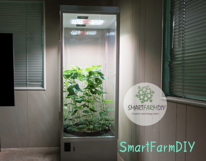ตู้ปลูกผักอัจฉริยะผ่านสมาร์ทโฟน smartPlantGrowbox