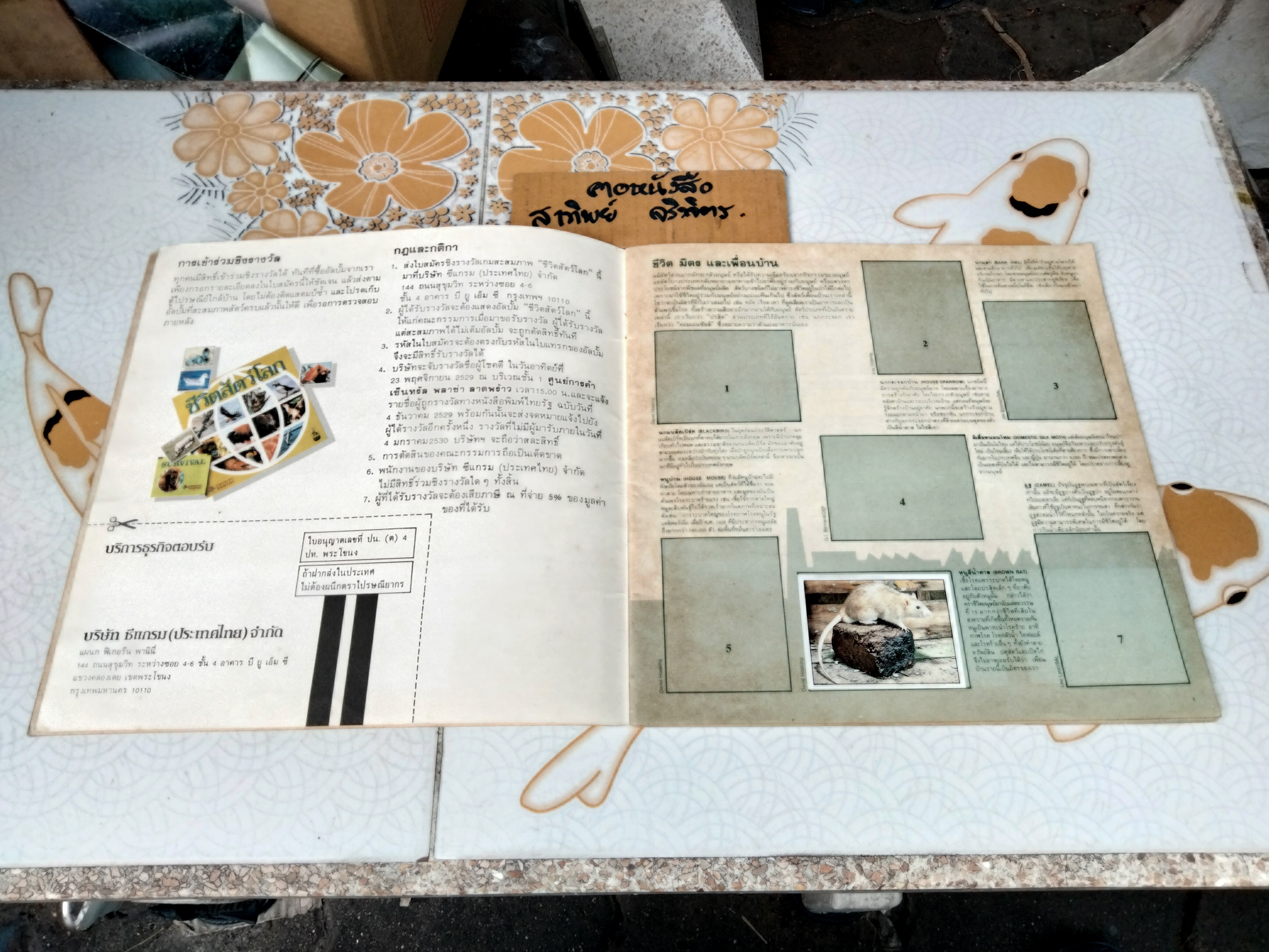 สมุดสะสมสติกเกอร์ ชีวิตสัตว์โลก (แปะไป 66 รูป/ 240 รูป)