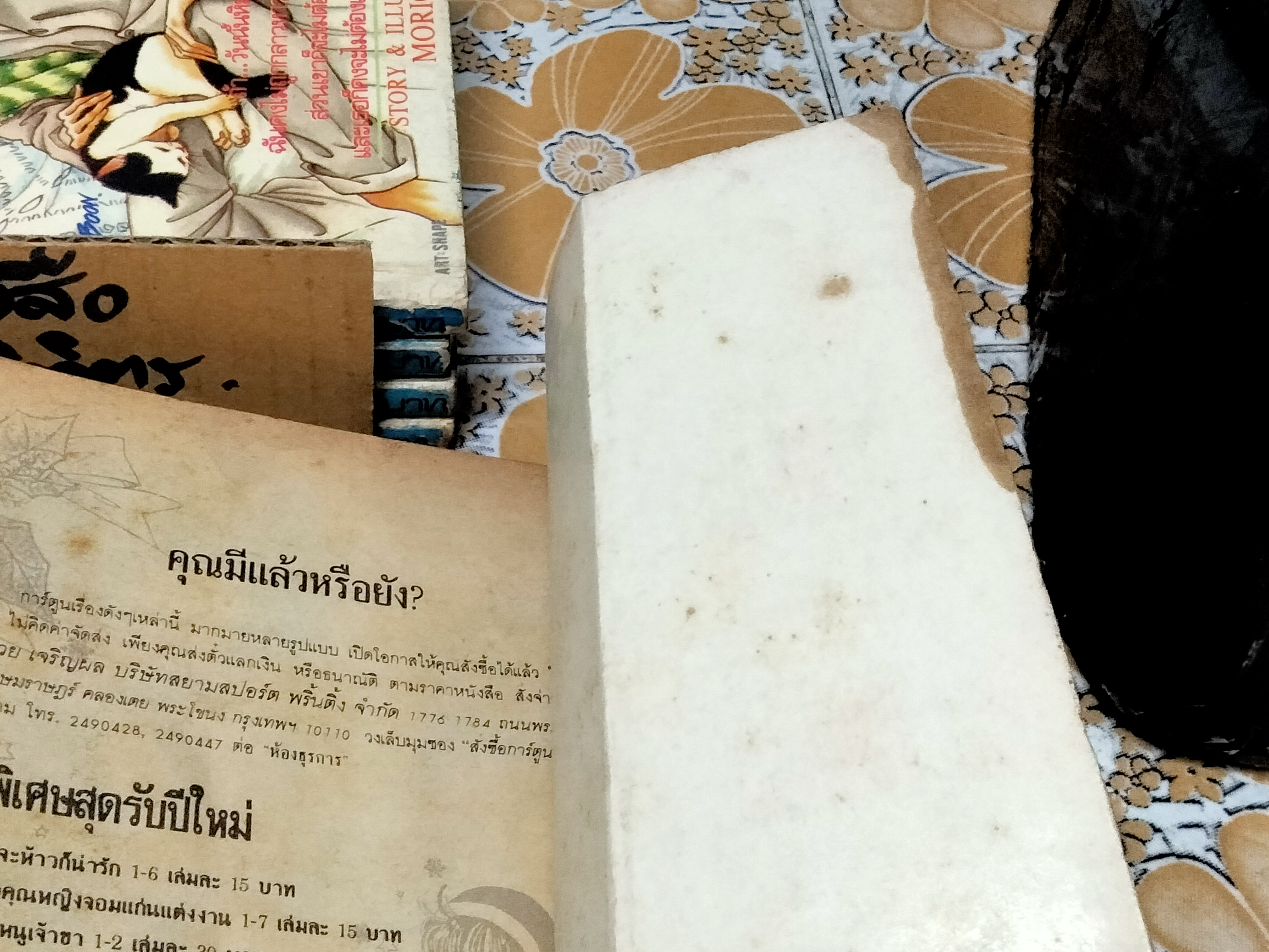 เพราะหัวใจเพรียกหา VIRGIN BLUE (8 เล่มจบ) **สินค้าหมด**