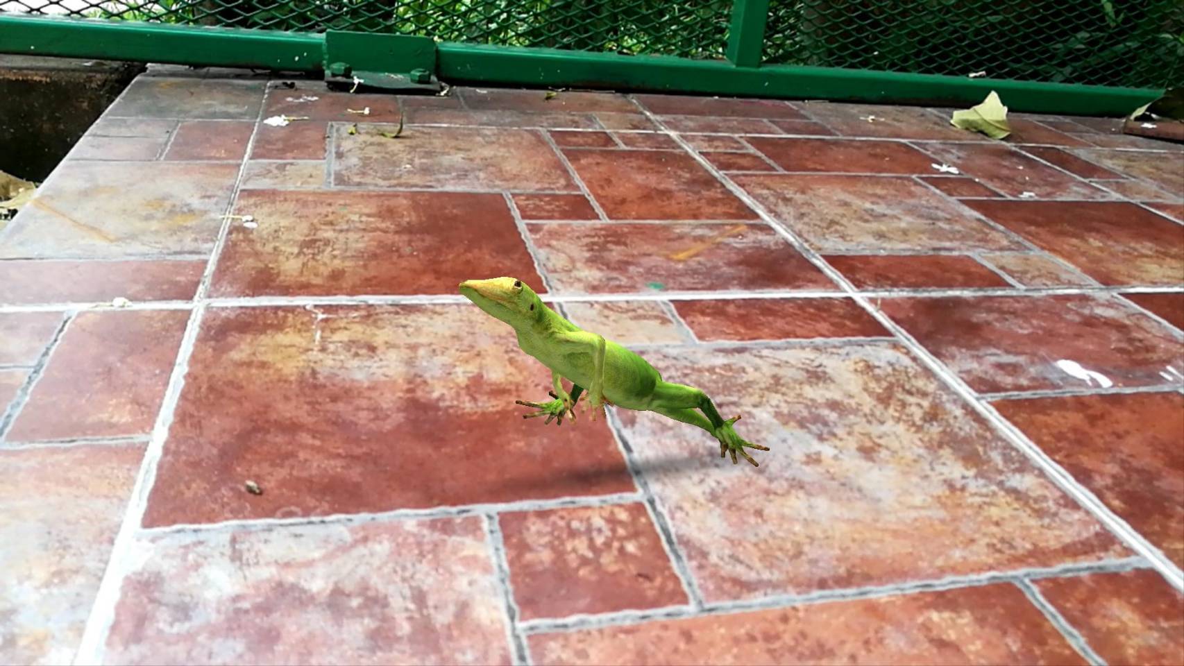 สื่อสามมิติ ด้านภาษา