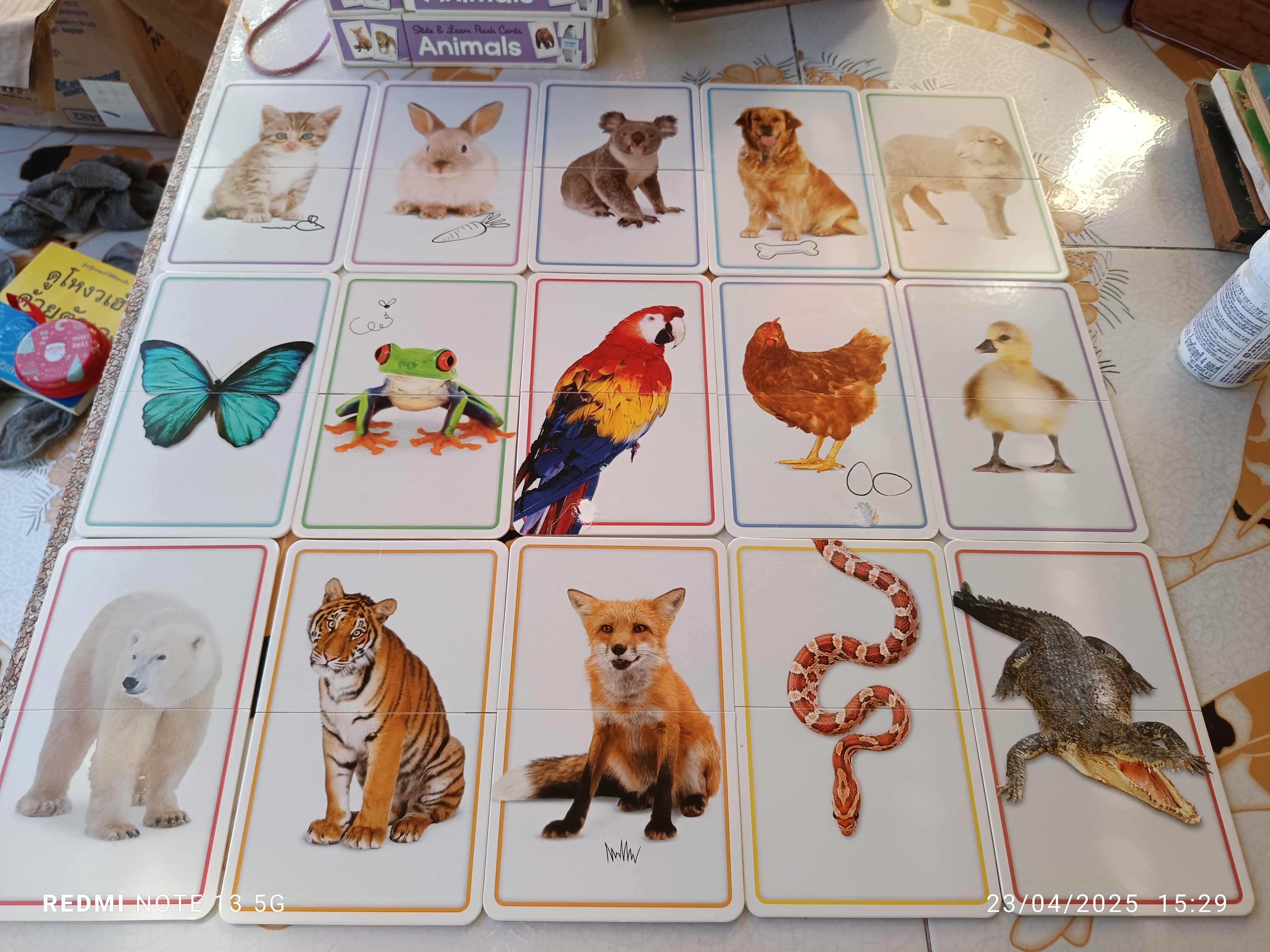 แฟลชการ์ด Animals (box set) Slide and Learn Flash Cards (15 ใบ) : Animals **สินค้าหมด**