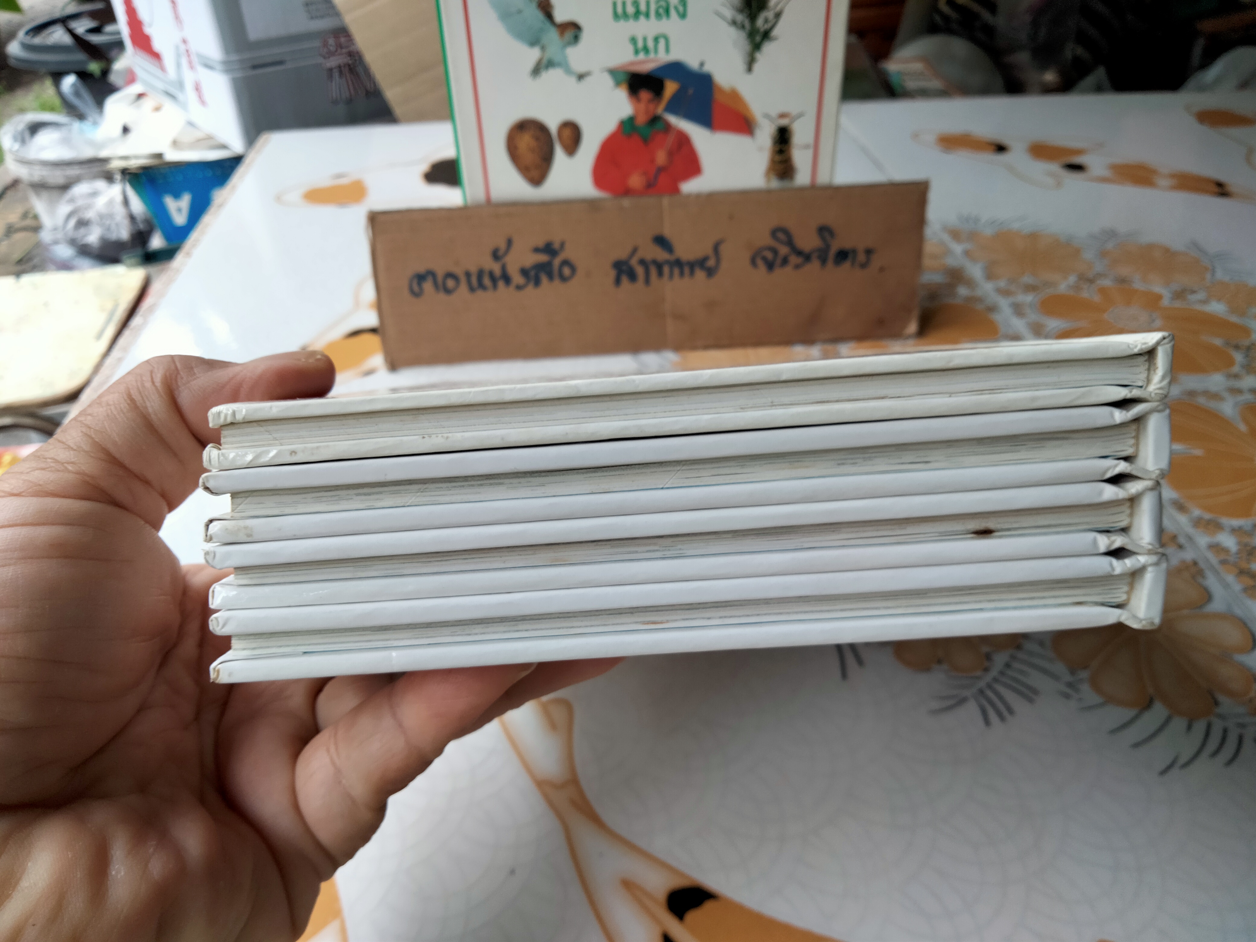 หนังสือชุดนักสำรวจน้อย-ลมฟ้าอากาศ, ดอกไม้, แมลง ,นก (Boxset) **สินค้าหมด**