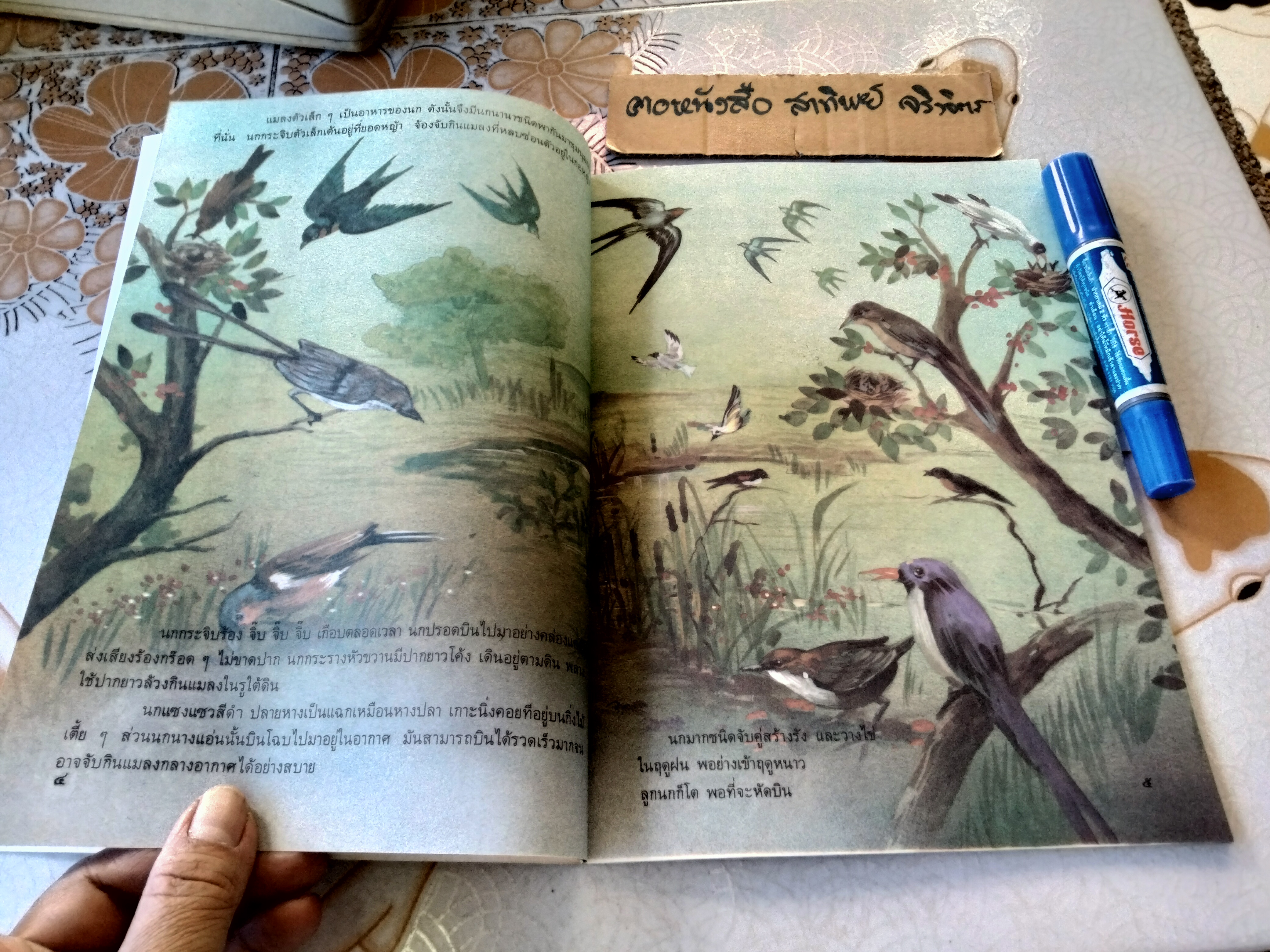 ในสระจ้อย #หนังสือส่งเสริมการอ่านระดับประถมศึกษา (หนังสือเตรียมทำหนังสือห้องสมุด-สภาพดี)