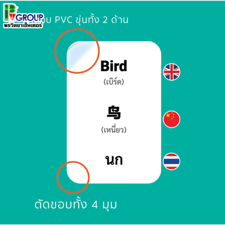 Mornington Flashcard ชุดแฟลชการ์ด การ์ดคำศัพท์ บัตรคำ 3 ภาษา/กล่อง