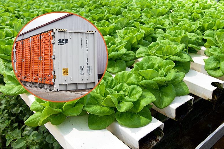 SmartFarm in Container Box