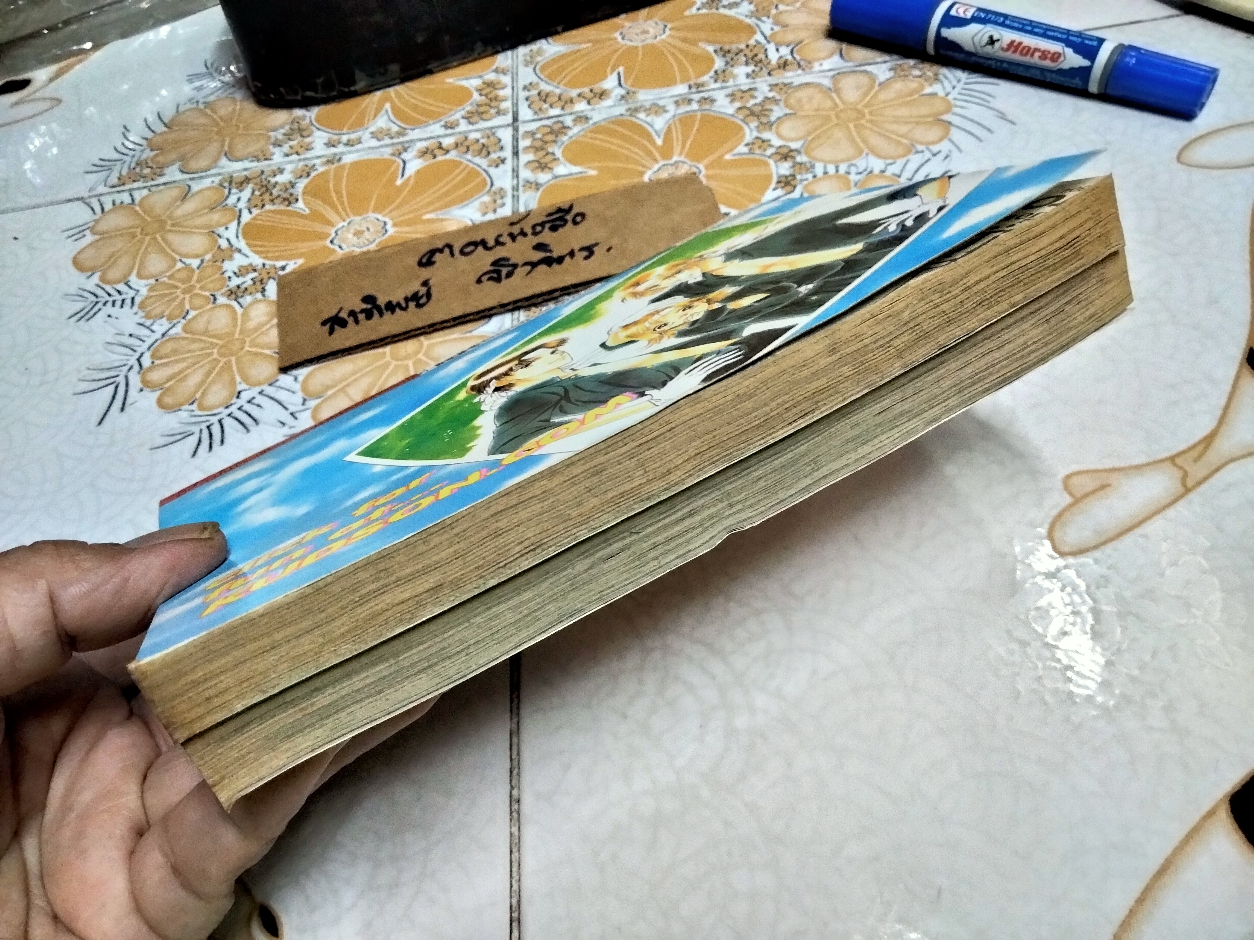 รักแล้ว..ใช่เลย (2 เล่มจบ) สนพ. KK BOOKS