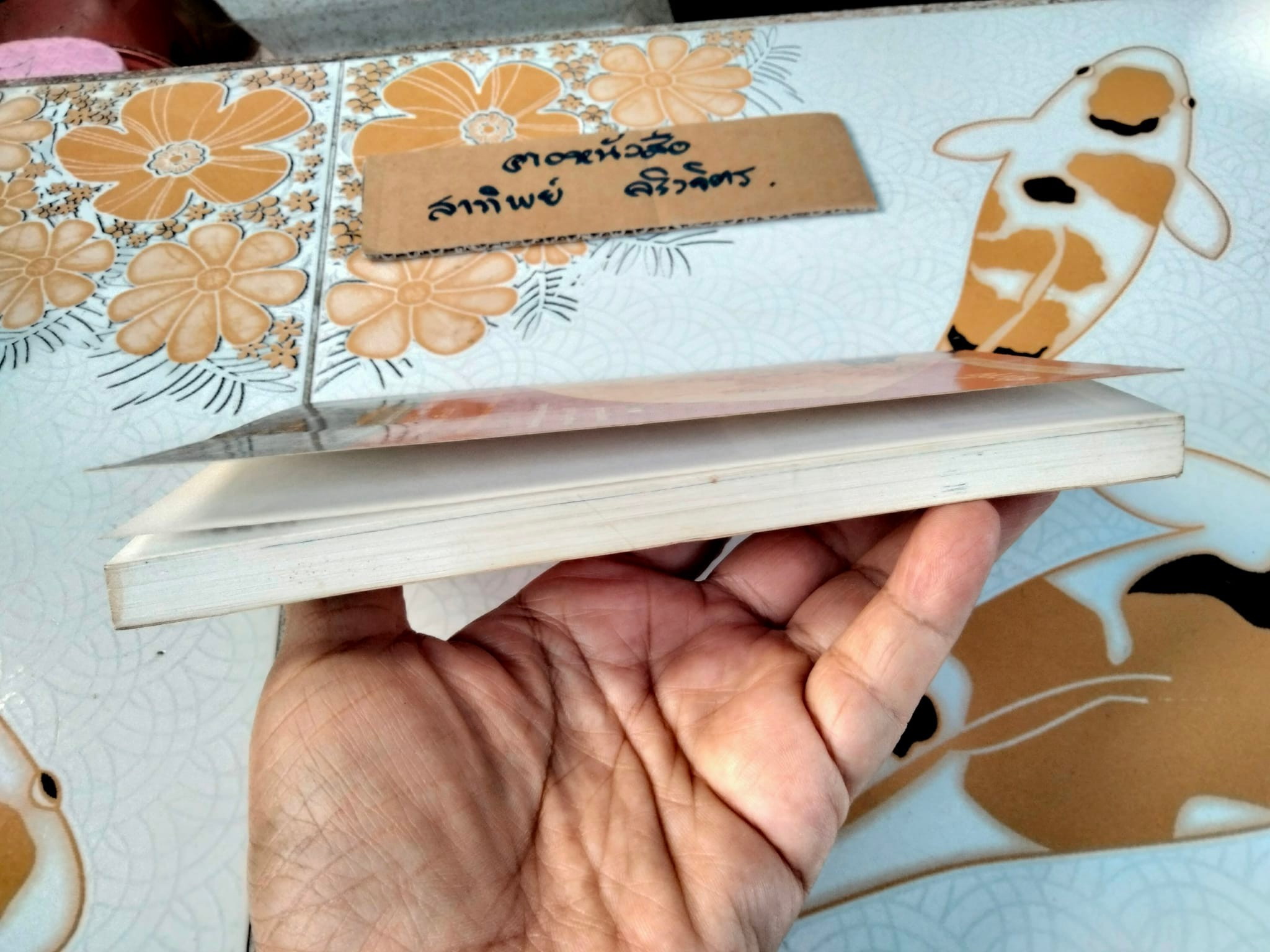 ฮวงจุ้ย ศาสตร์แห่งการพยากรณ์ทำเลดีร้าย - Sarah Rossback เขียน , อำนวยชัย ปฏิพัทธ์เผ่าพงศ์ แปล **สินค้าหมด**